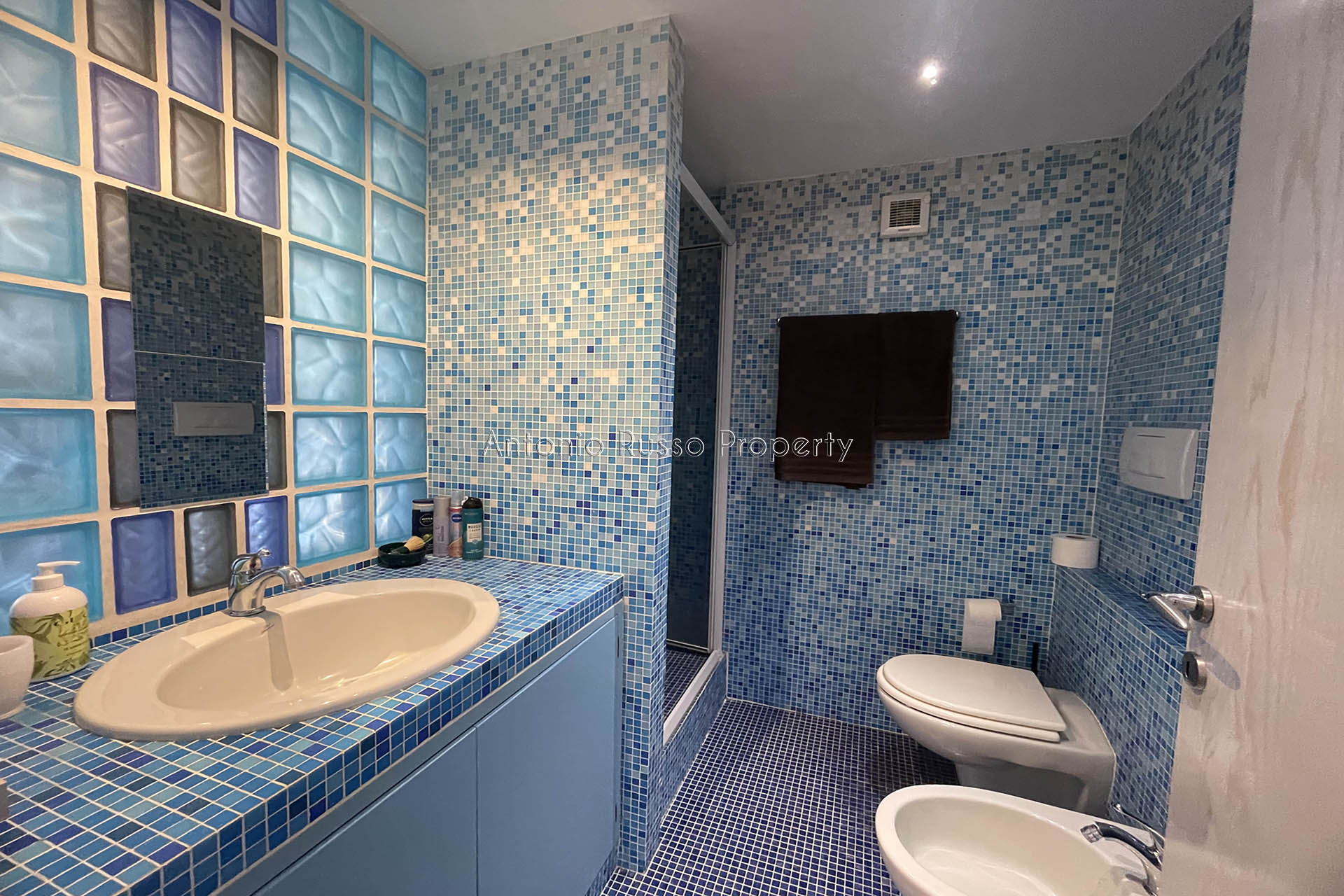 /api/file/public/264924/27962