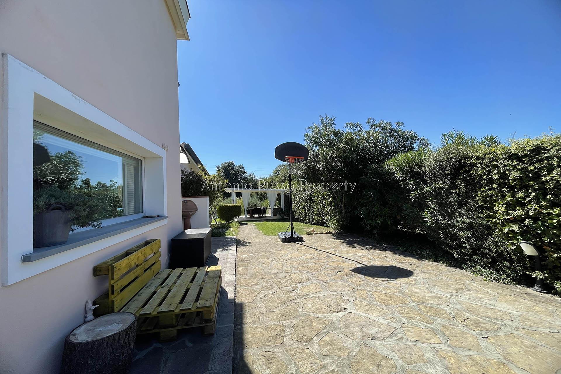 /api/file/public/264924/27964