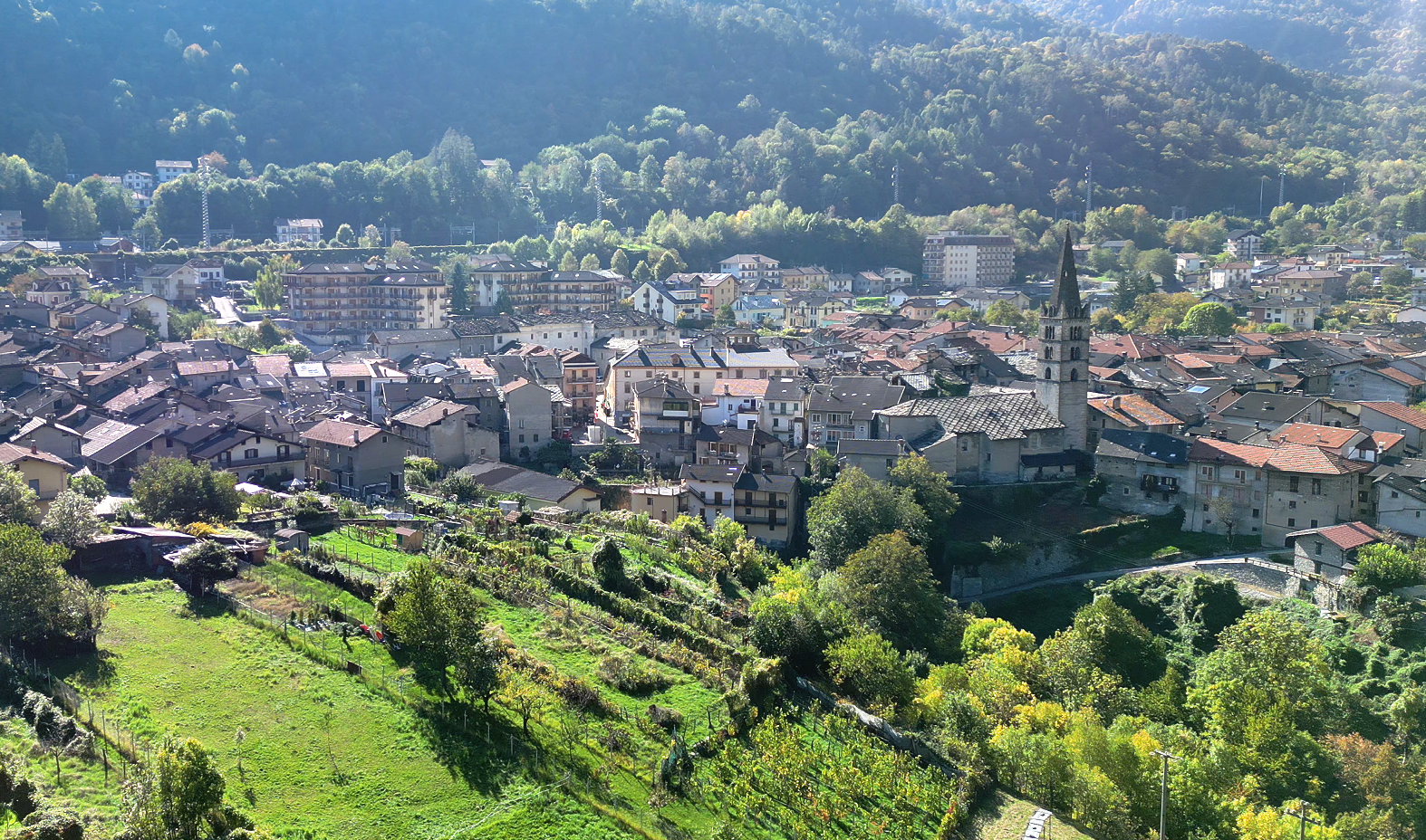 /api/file/public/264955/28079