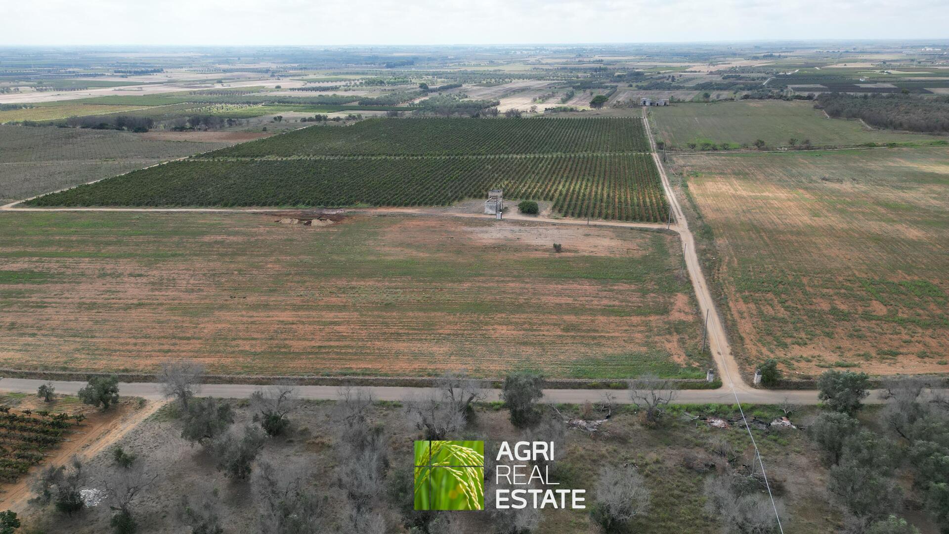 /api/file/public/264956/28080