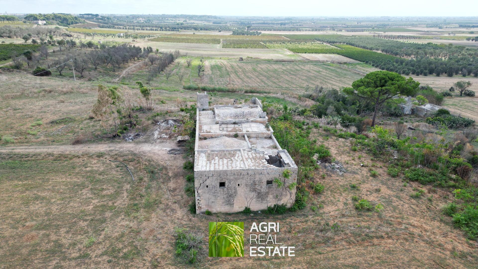 /api/file/public/264956/28086