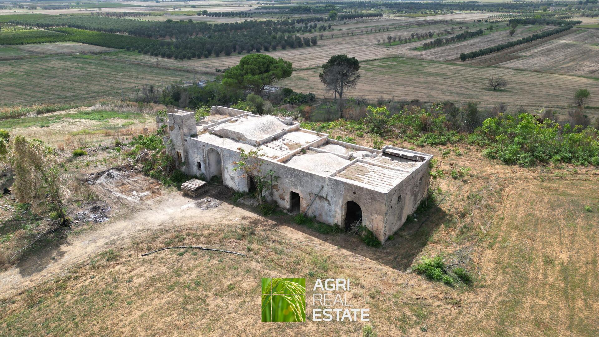 /api/file/public/264956/28087