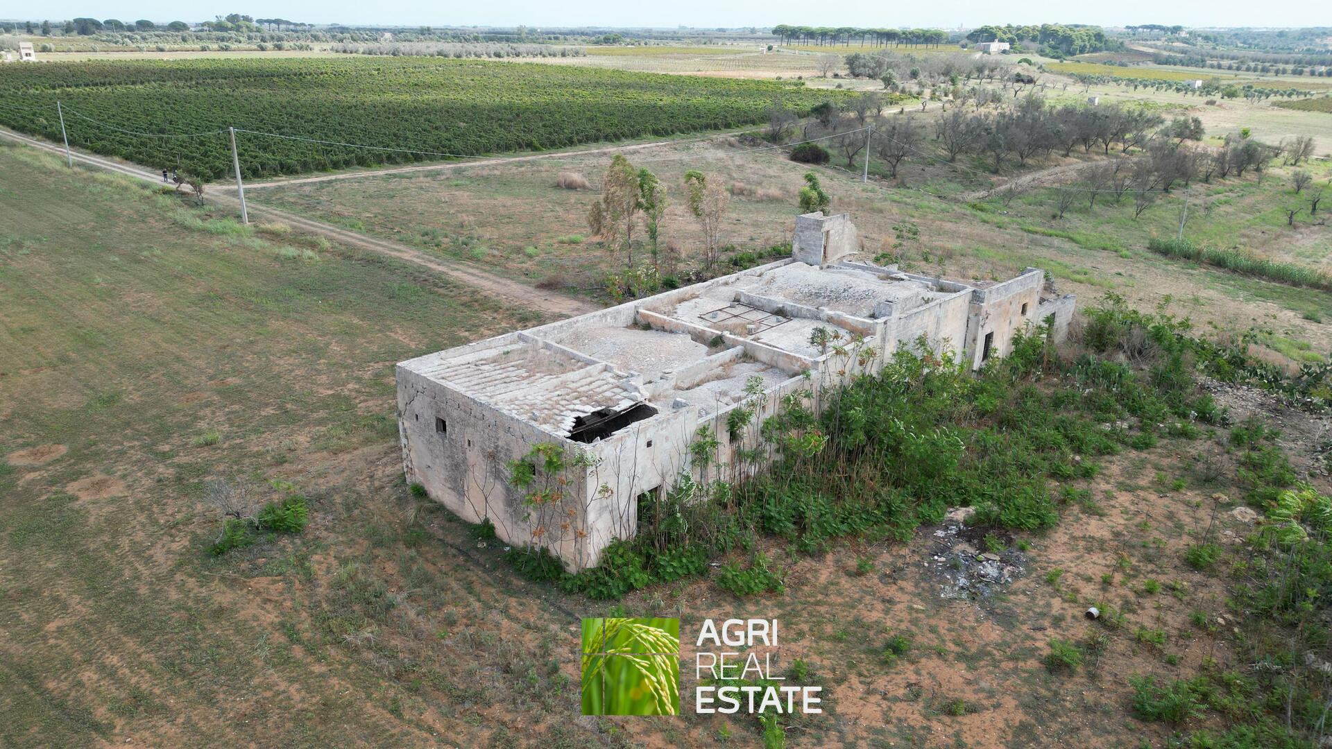 /api/file/public/264956/28089