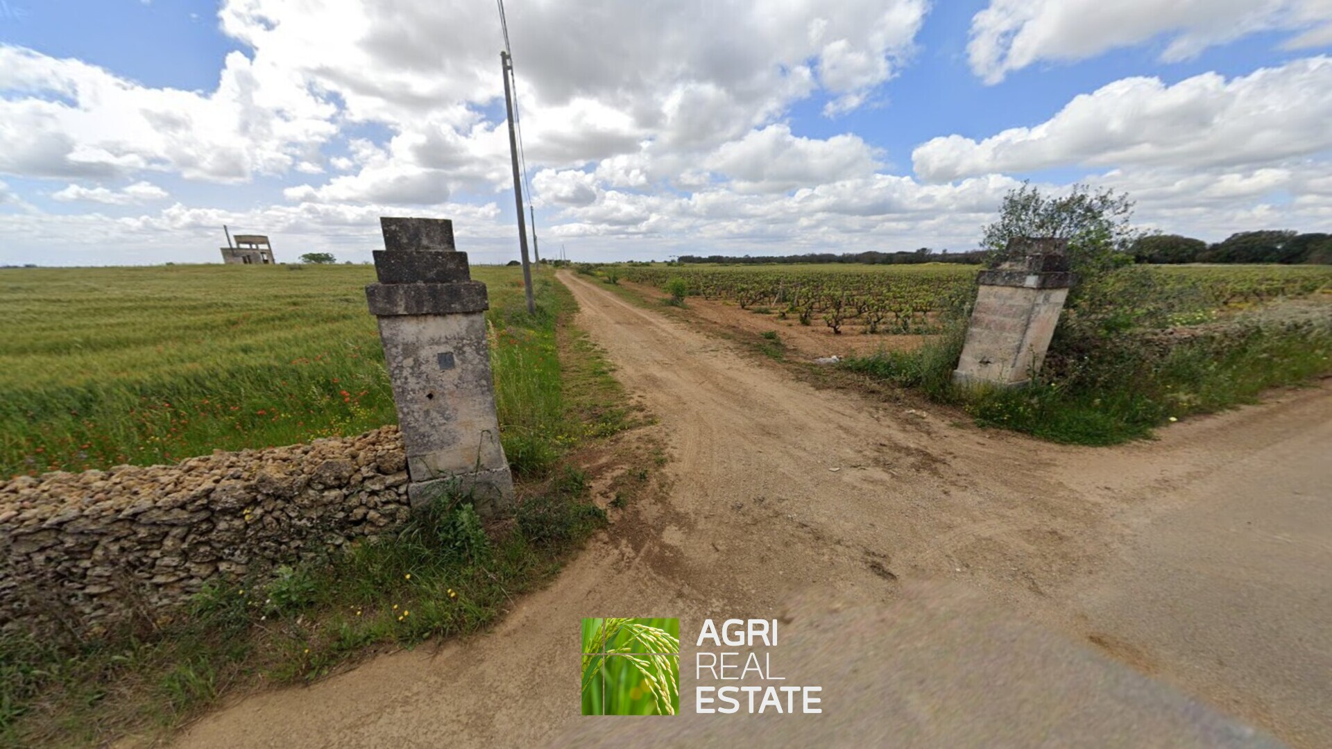 /api/file/public/264956/28091