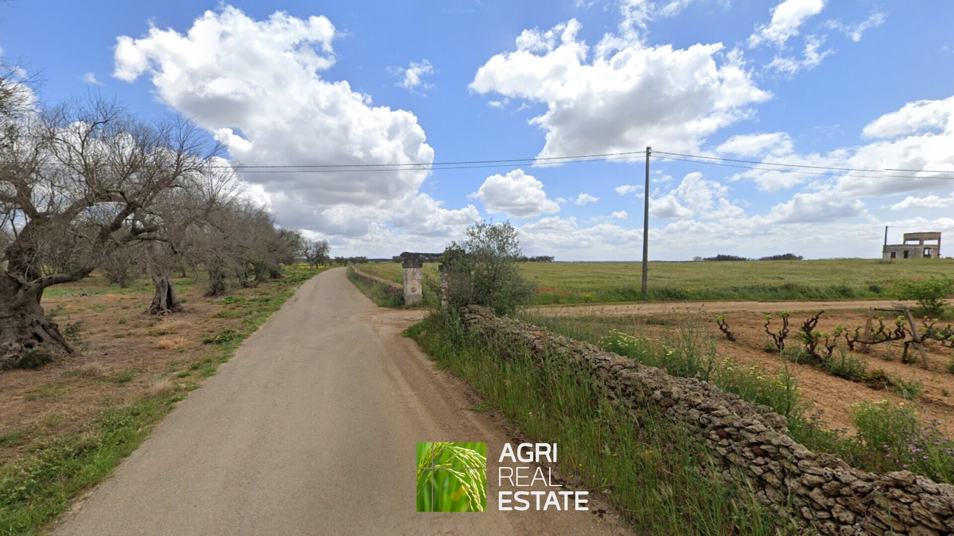 /api/file/public/264956/28094