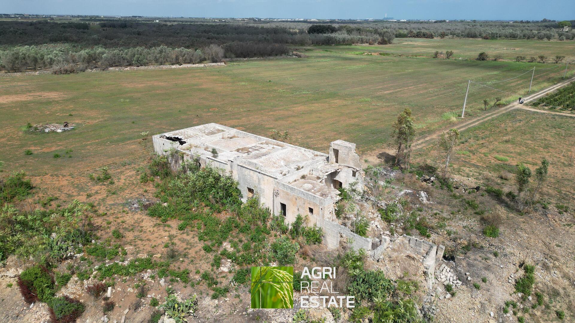 /api/file/public/264956/28095