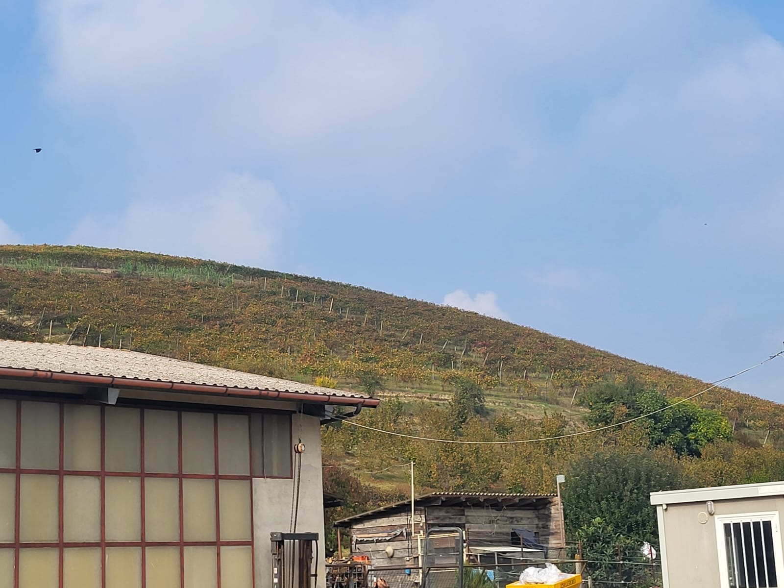 /api/file/public/264957/28101