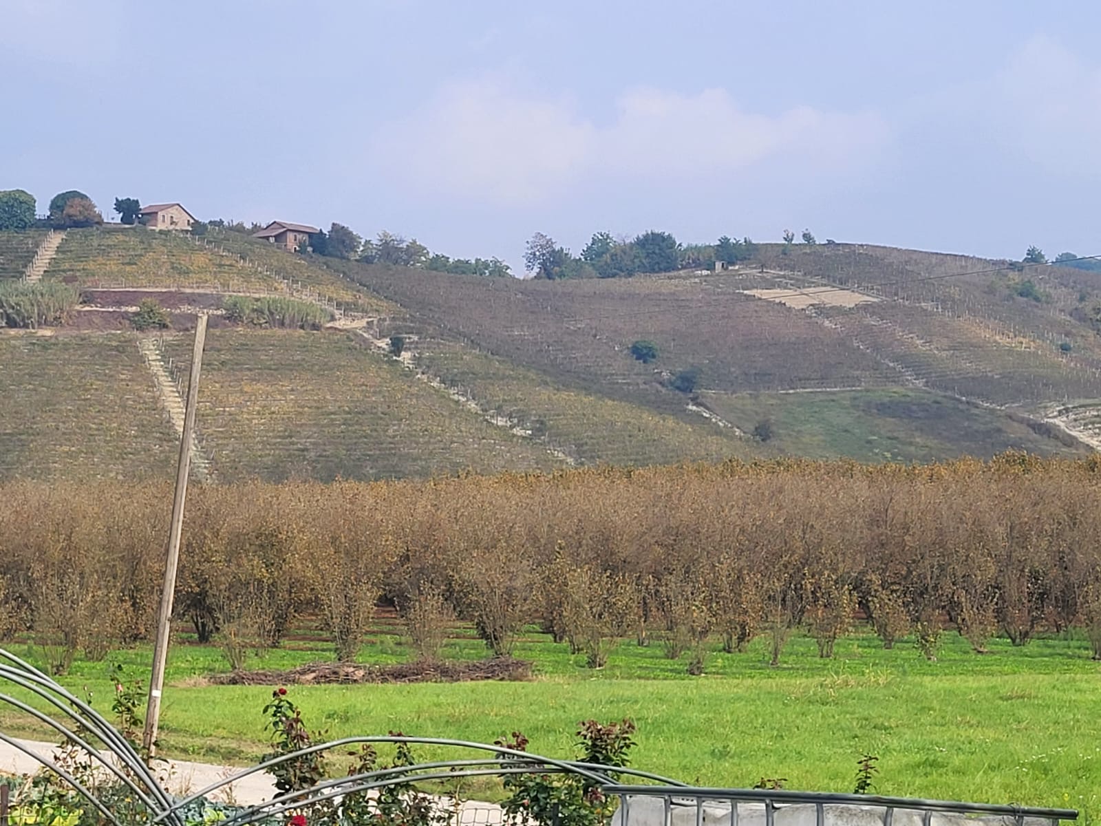 /api/file/public/264957/28103