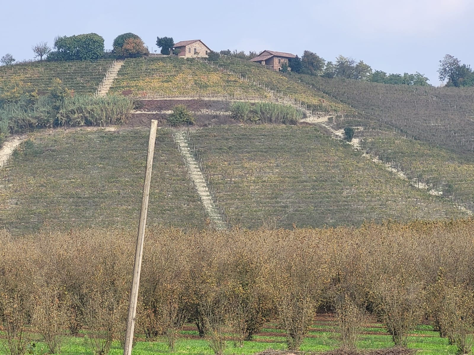 /api/file/public/264957/28104