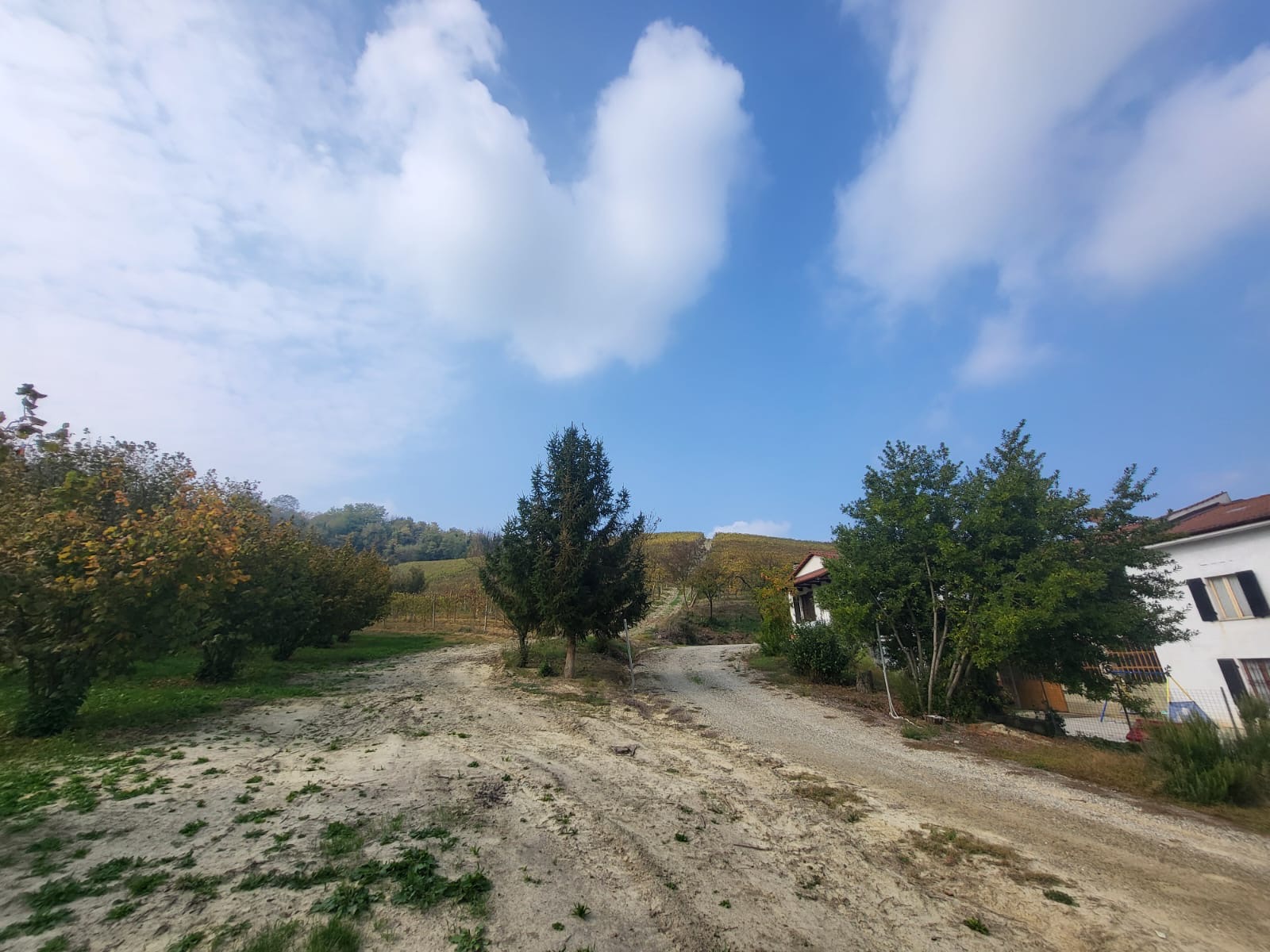 /api/file/public/264957/28105