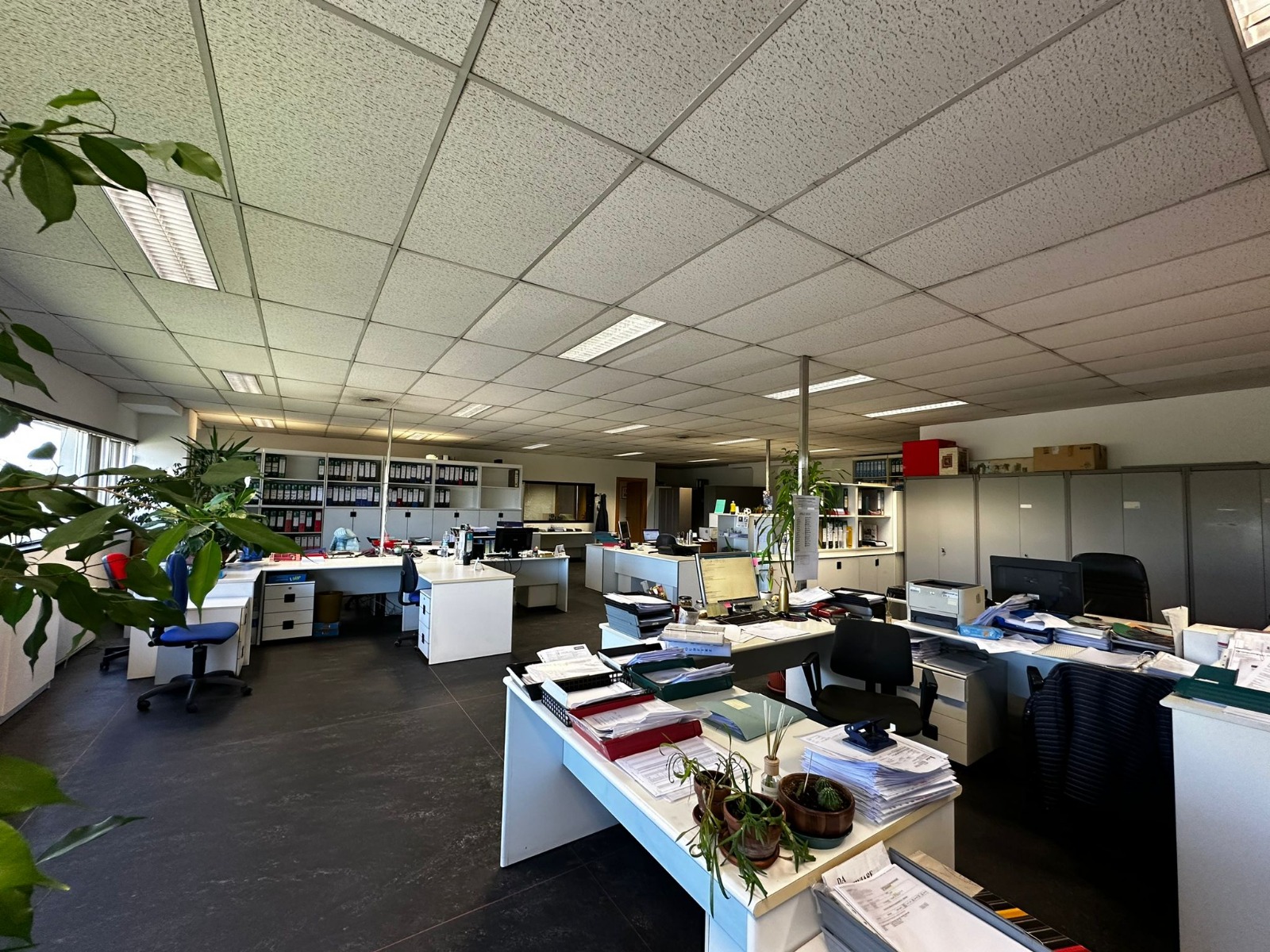 /api/file/public/264960/28107