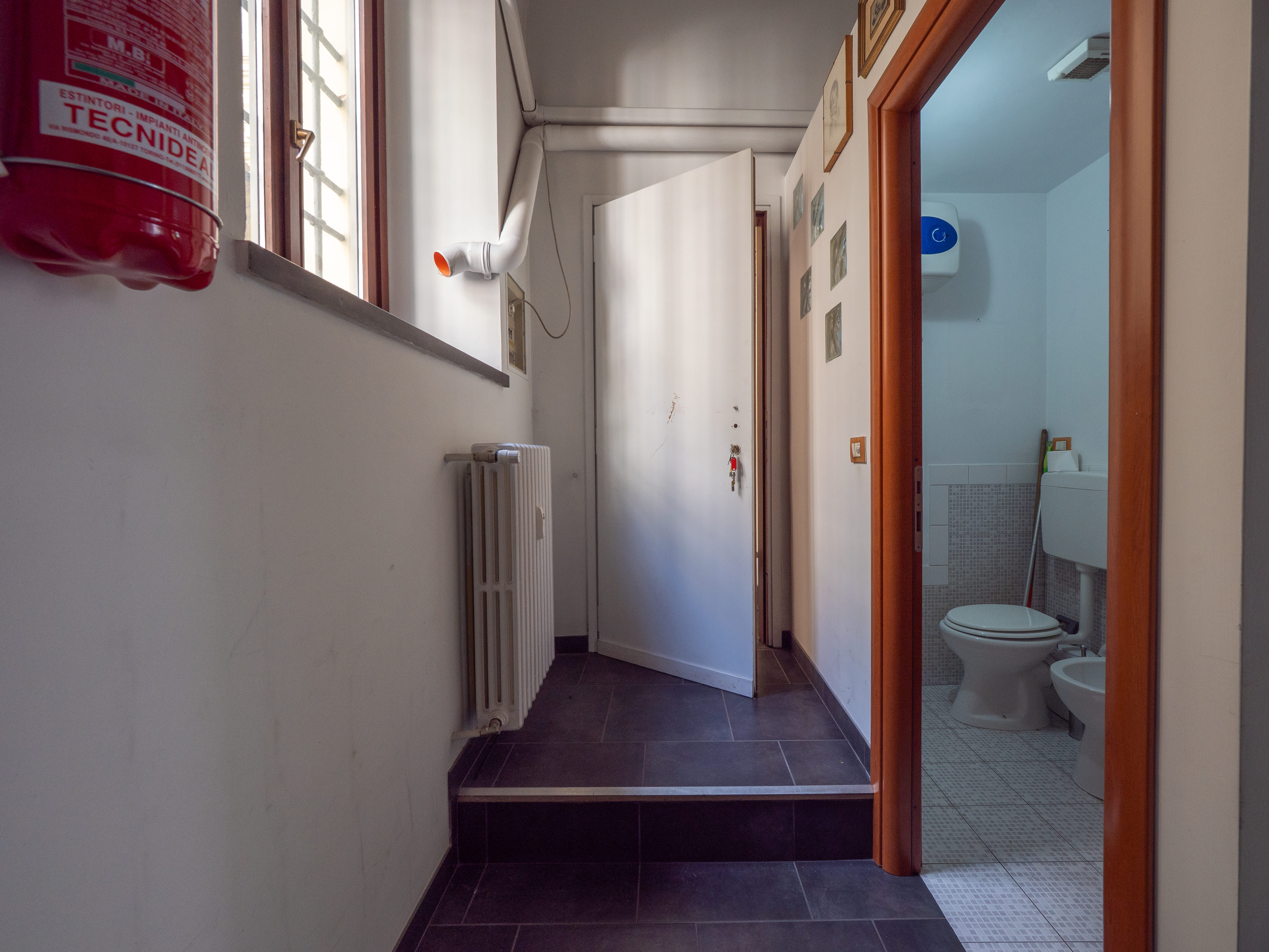 /api/file/public/264967/28129