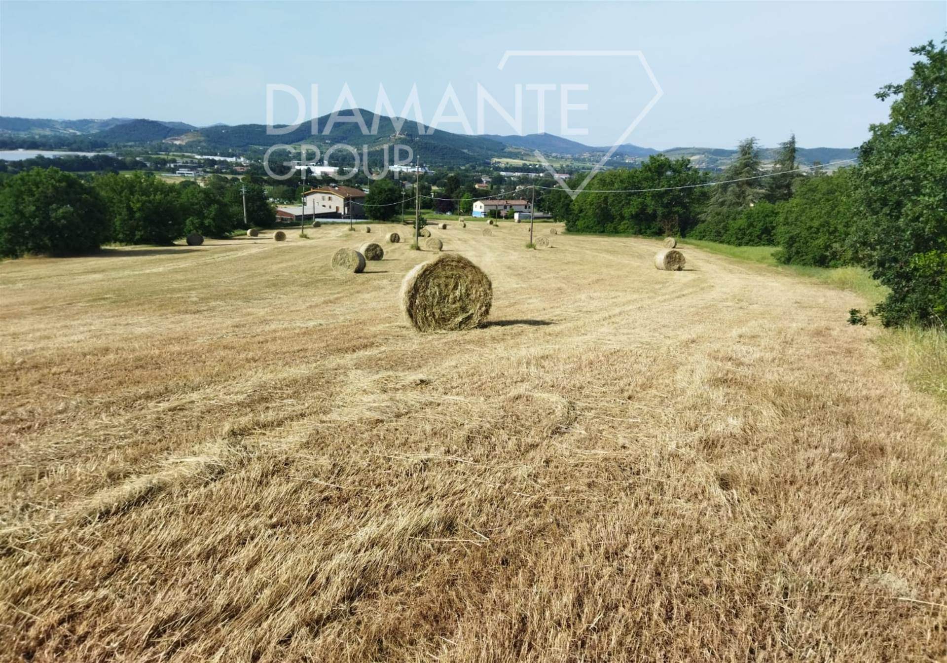 /api/file/public/264973/28159