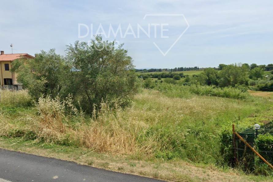 /api/file/public/264975/28162