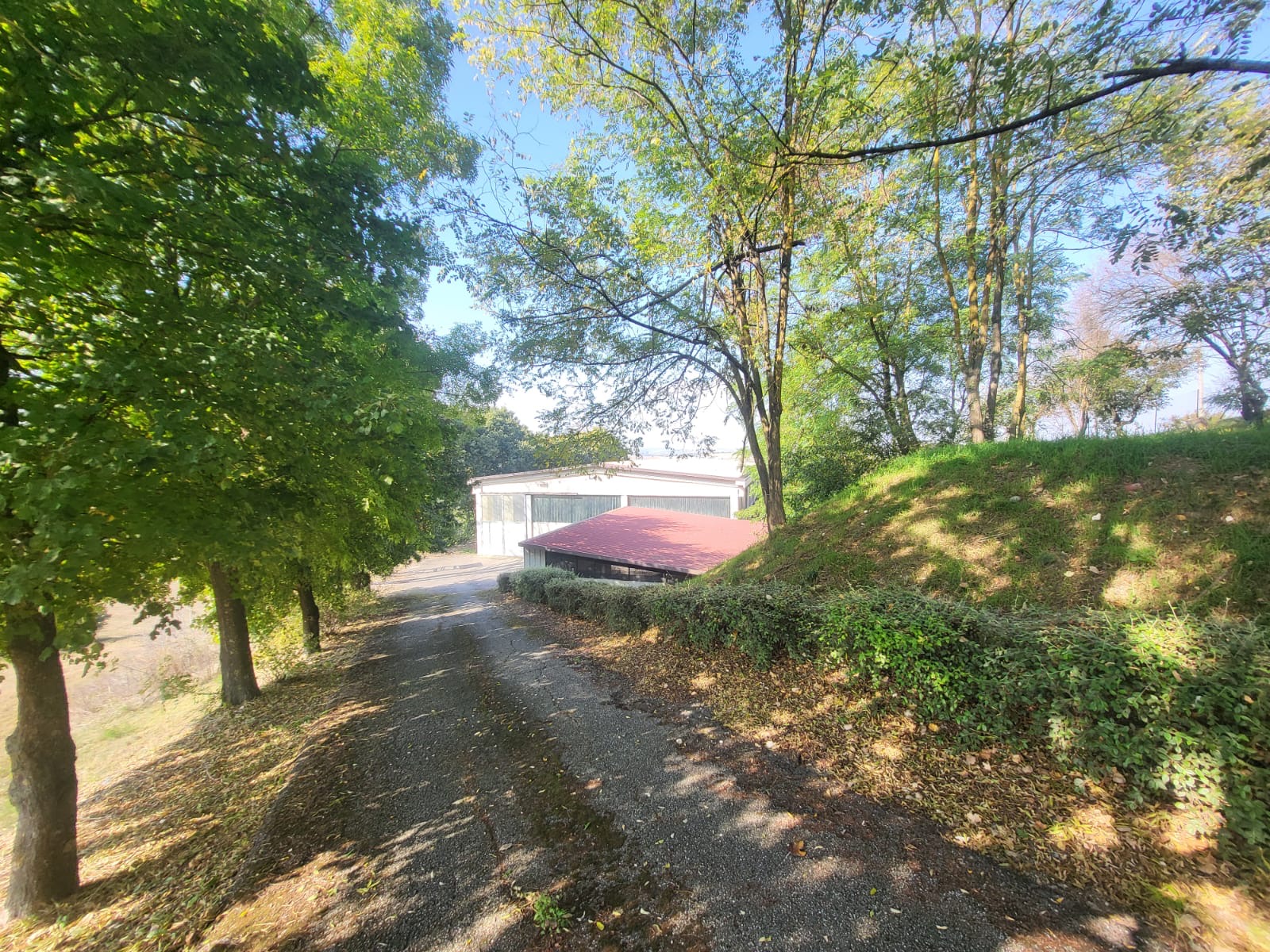 /api/file/public/264985/28188