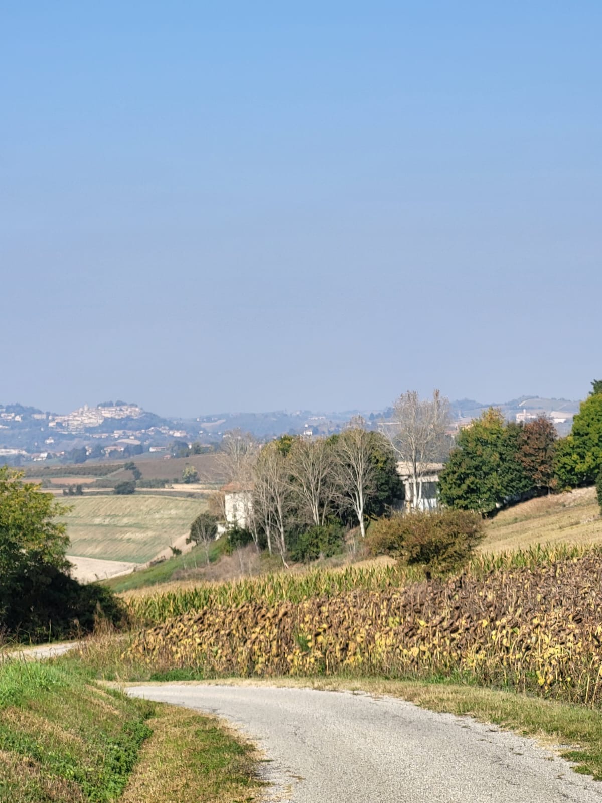 /api/file/public/264985/28189