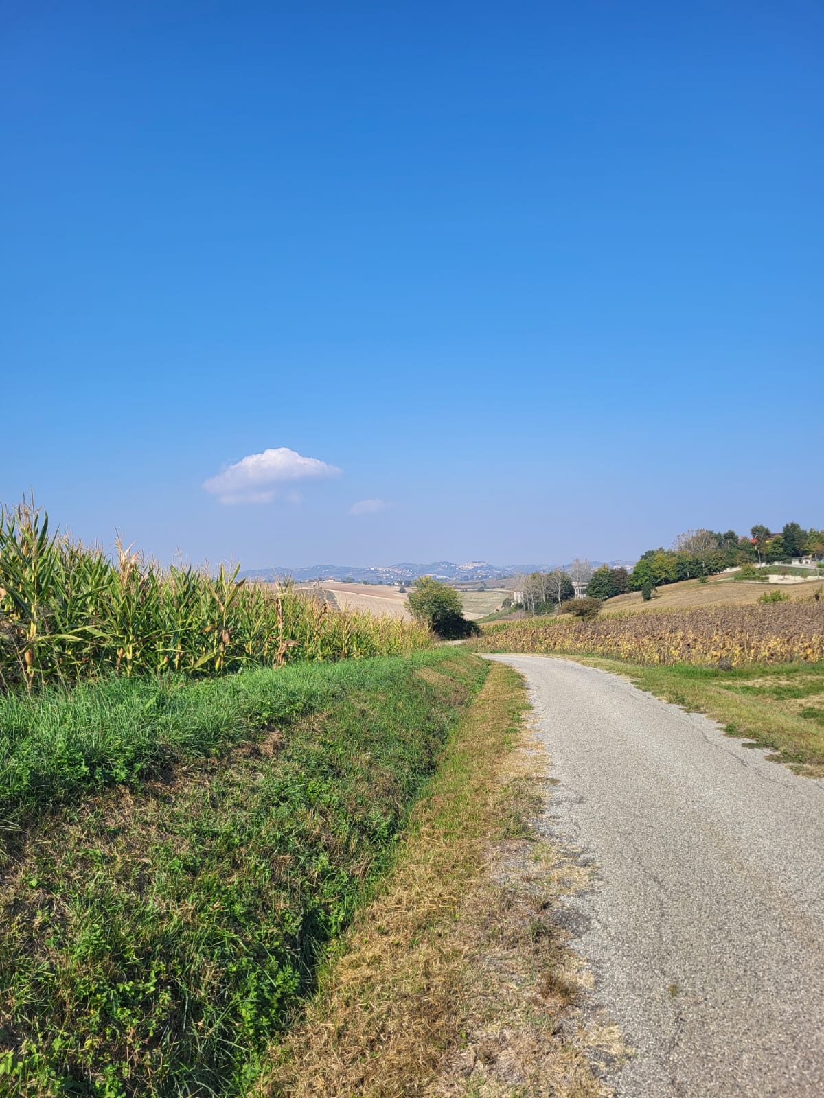 /api/file/public/264985/28190