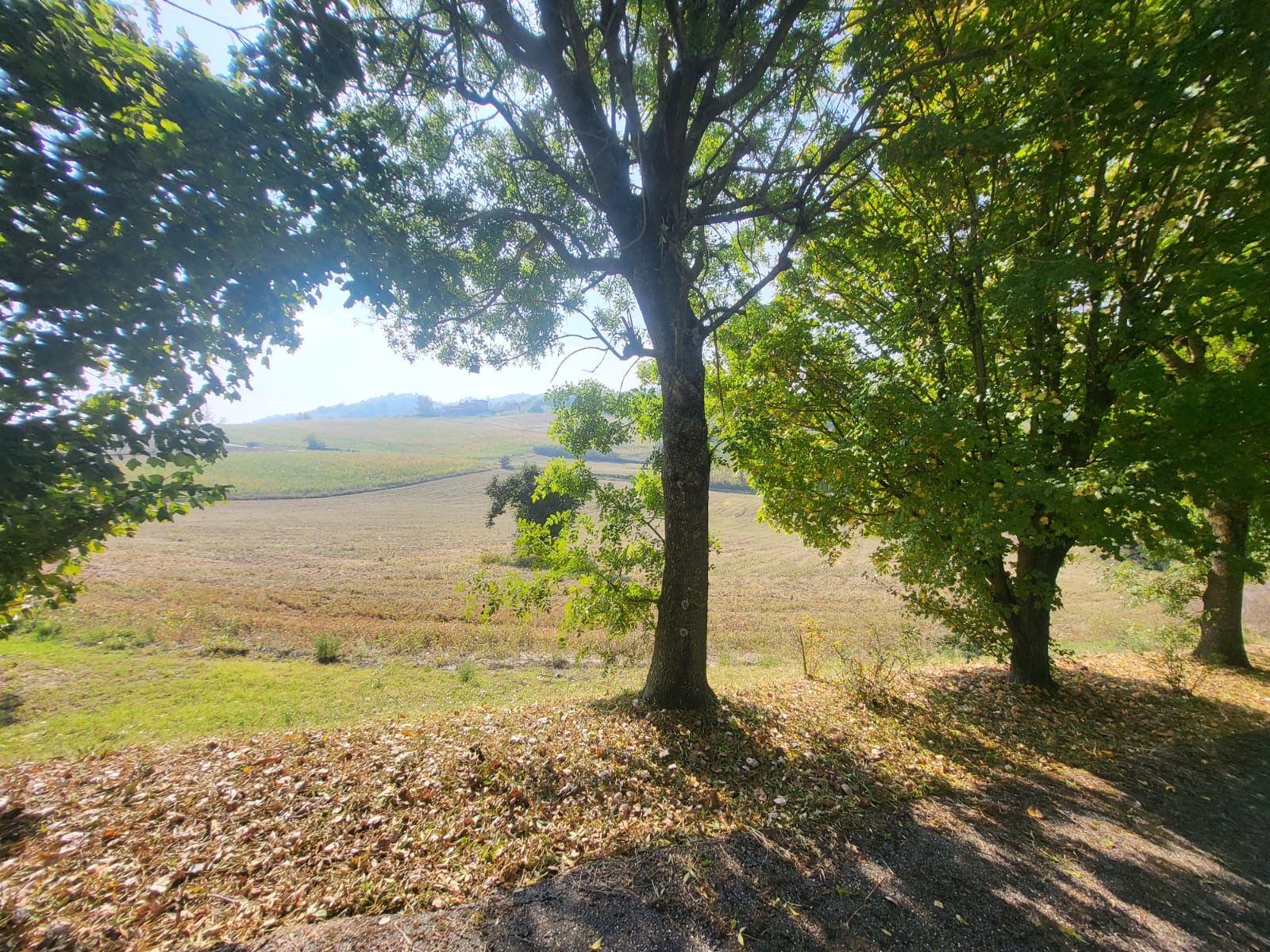 /api/file/public/264985/28191