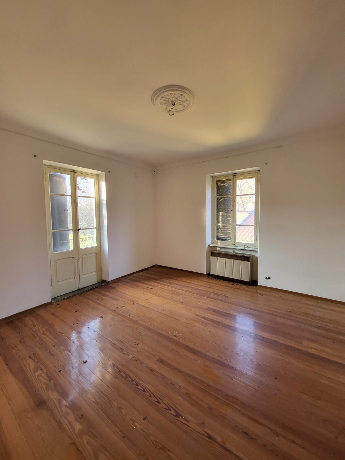 /api/file/public/264986/28196