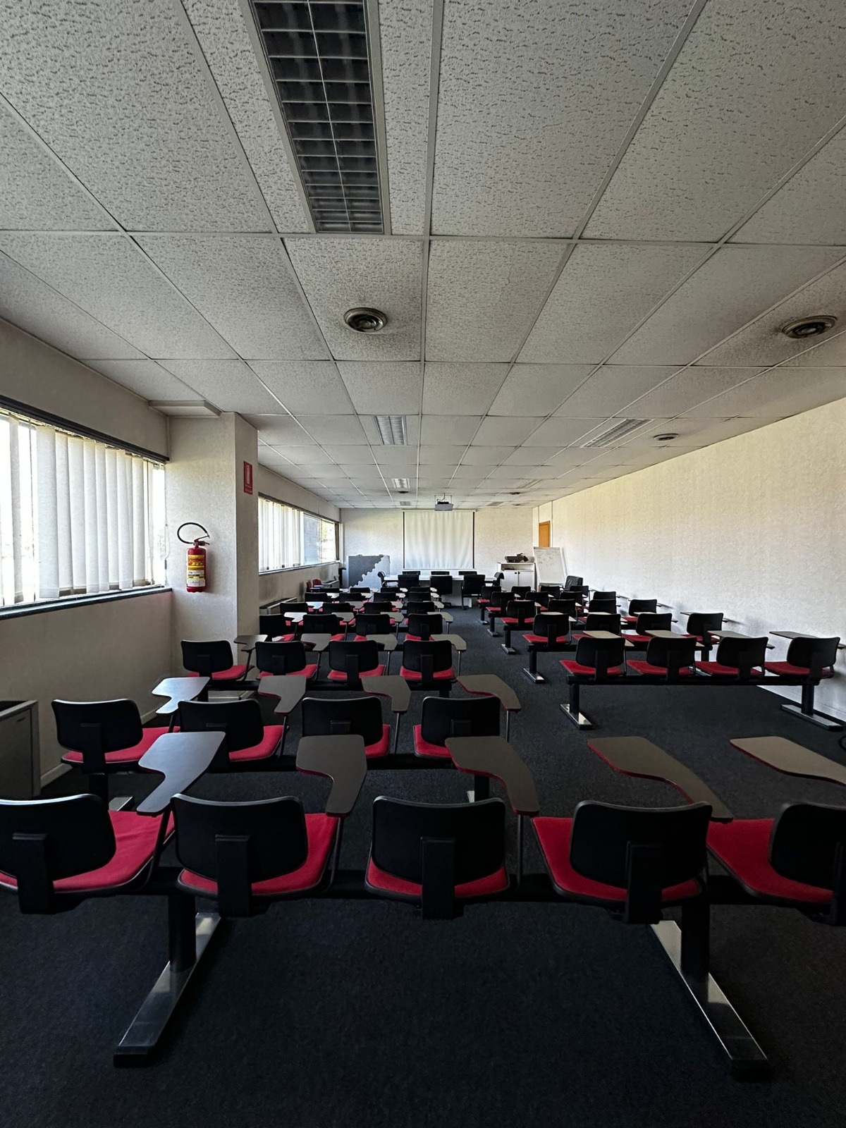 /api/file/public/264987/28203