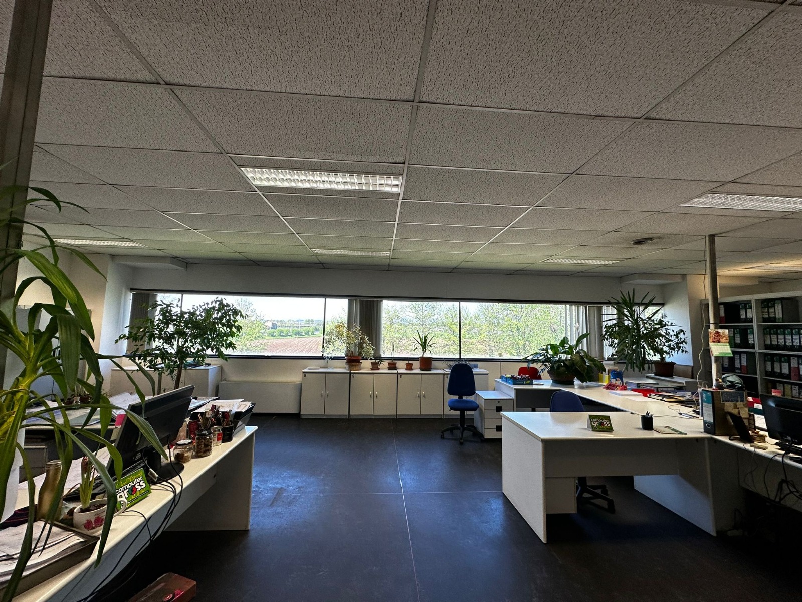 /api/file/public/264987/28205