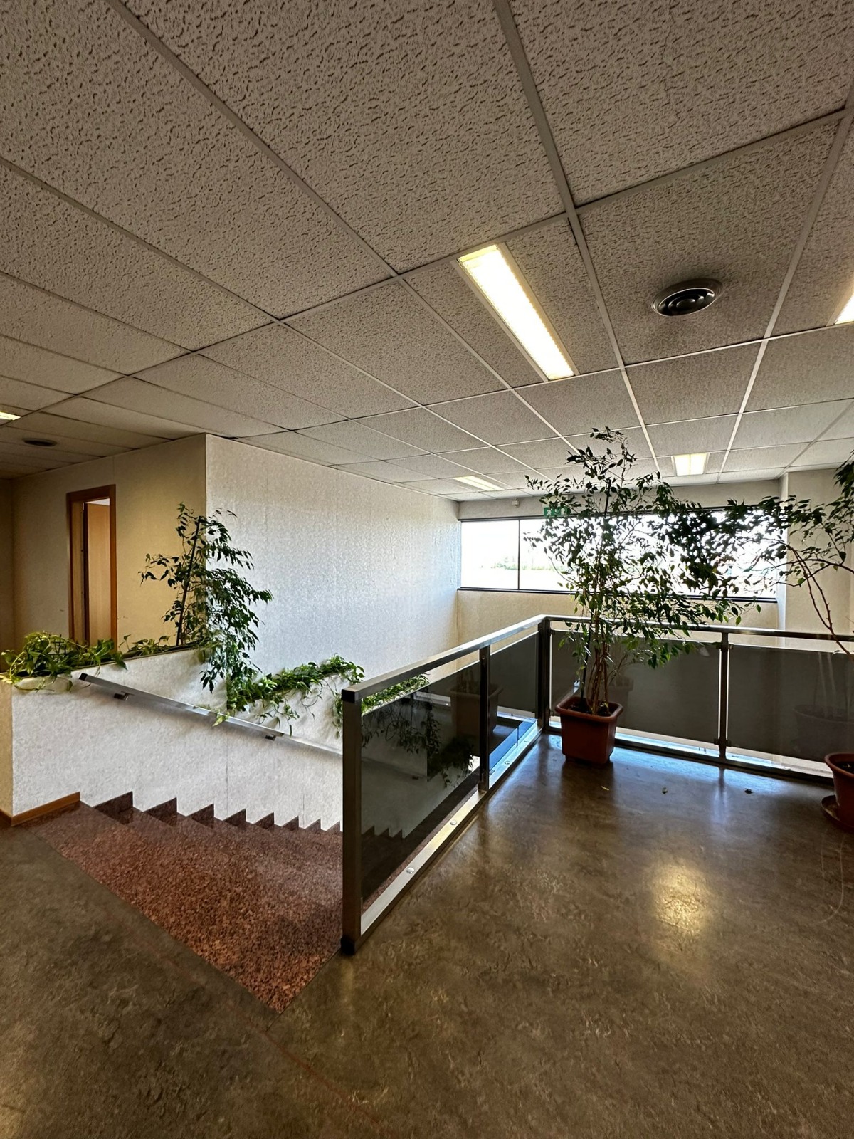 /api/file/public/264987/28207