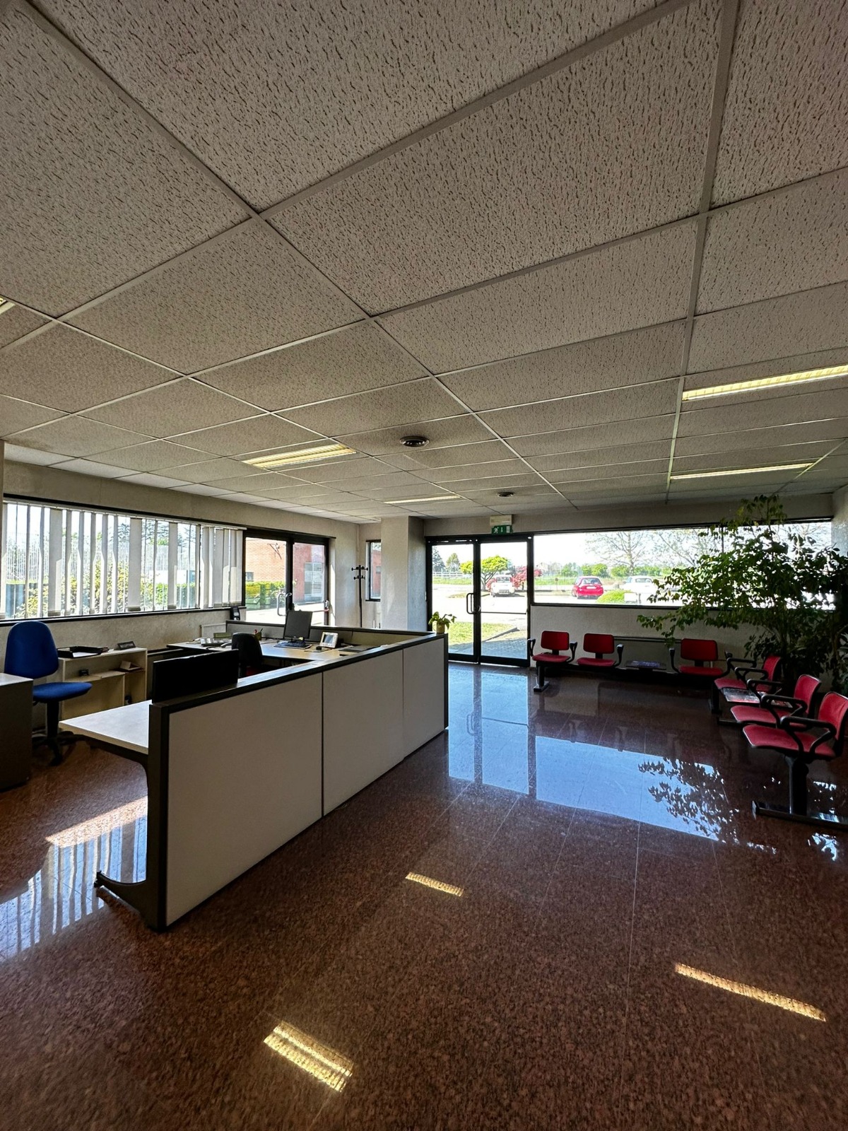 /api/file/public/264987/28208