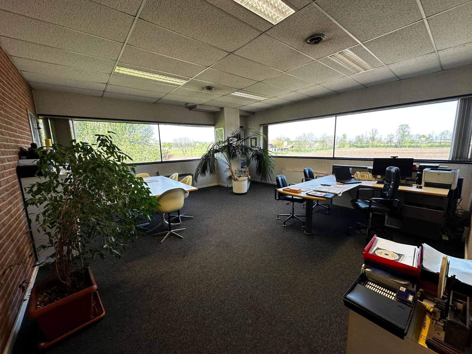 /api/file/public/264987/28209