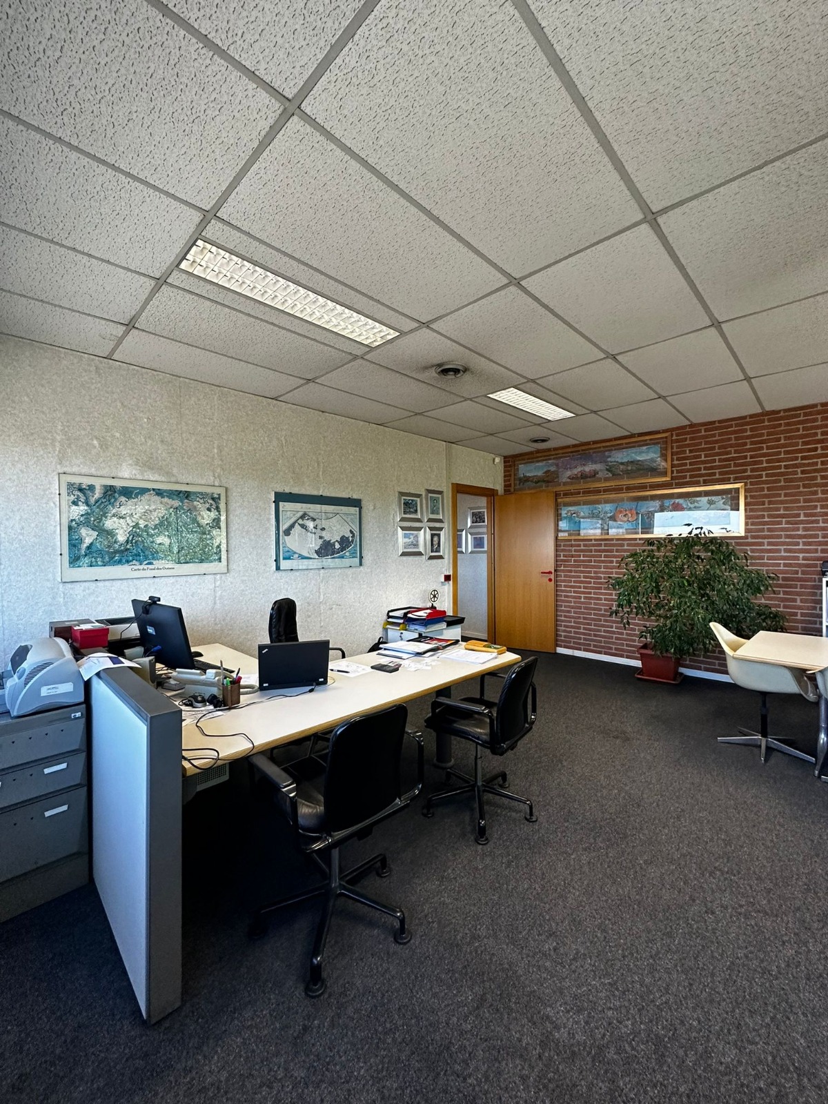 /api/file/public/264987/28211