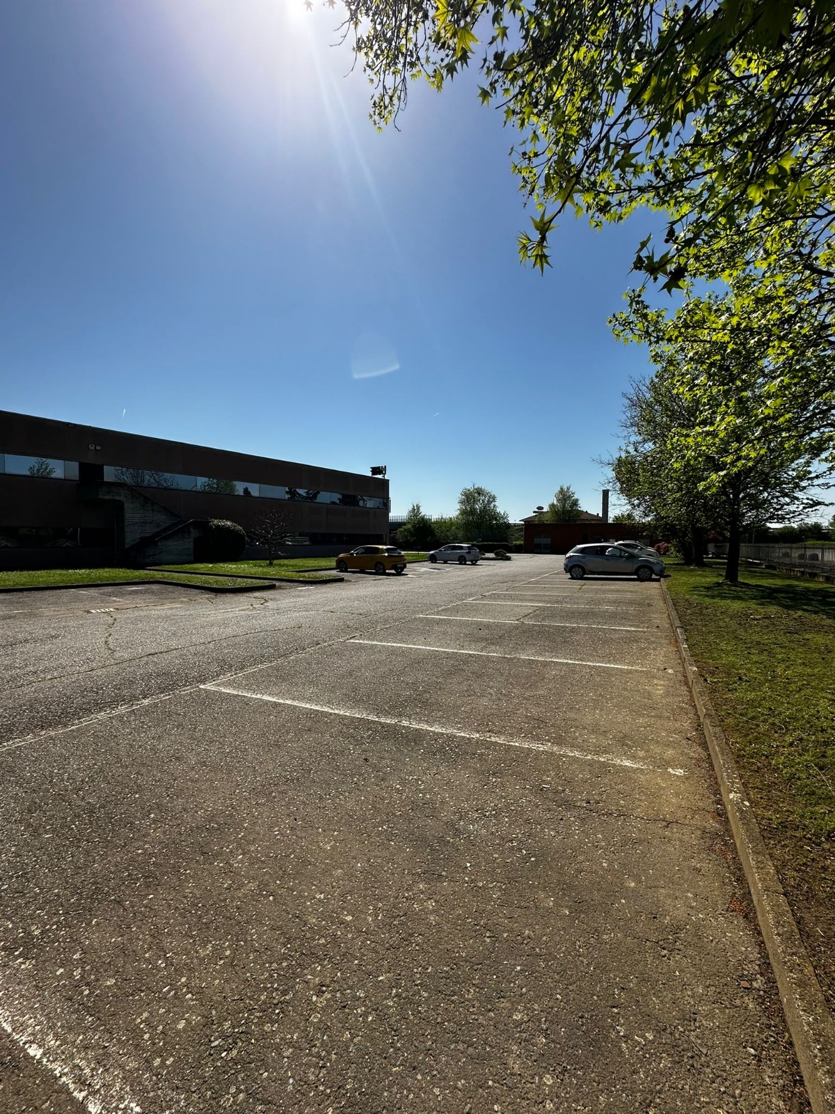 /api/file/public/264987/28213