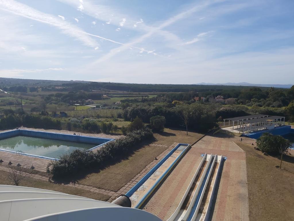 /api/file/public/264988/28215