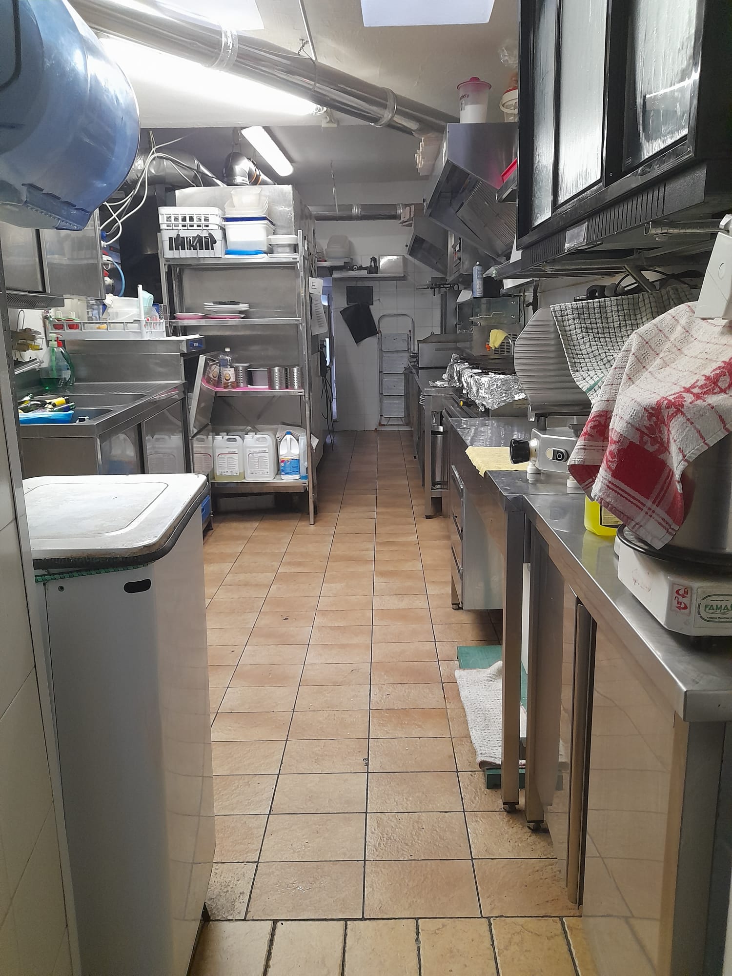 /api/file/public/264998/28309