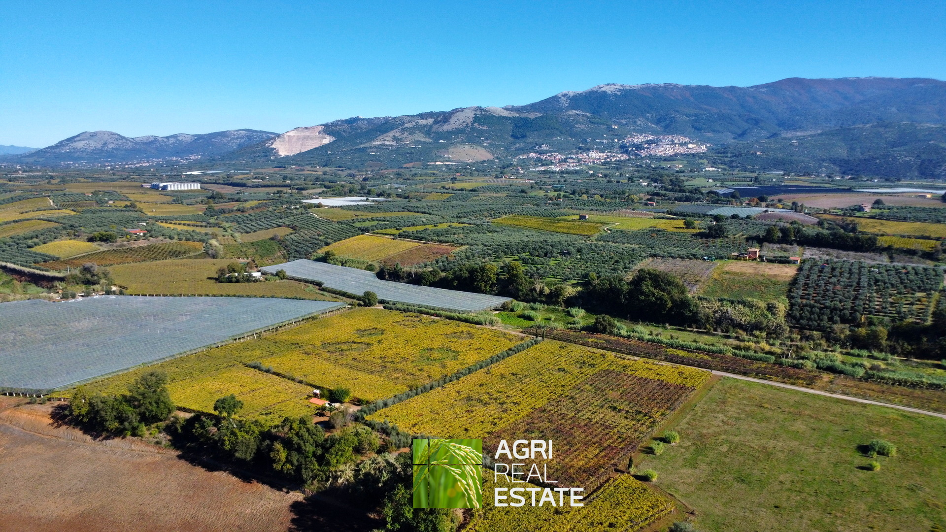 /api/file/public/265002/28318