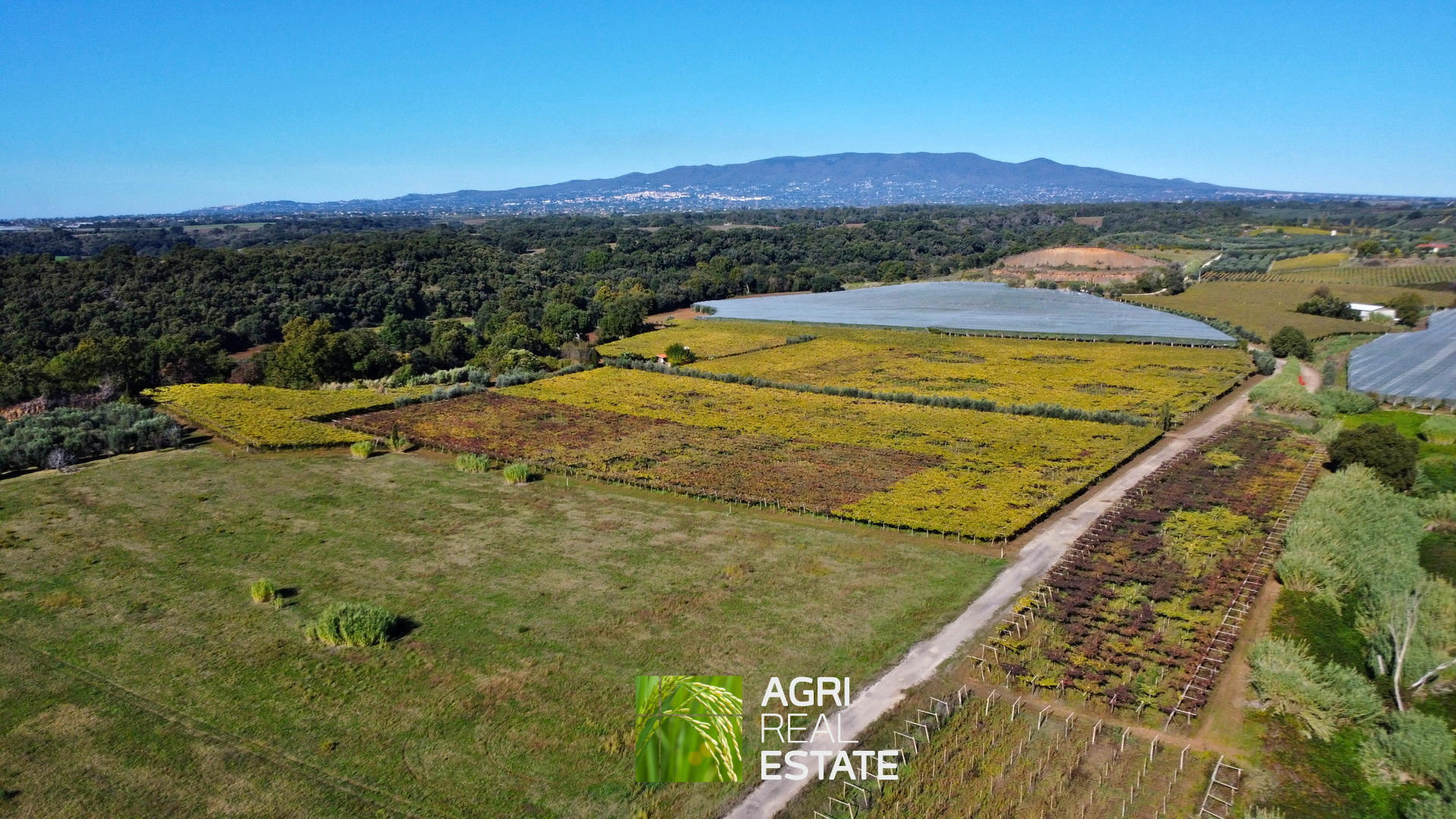 /api/file/public/265002/28319