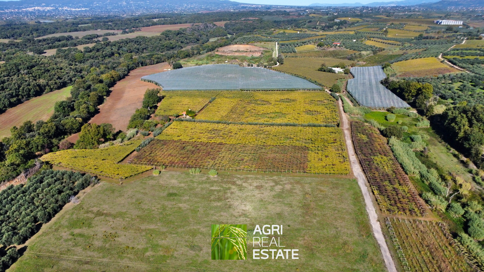 /api/file/public/265002/28320