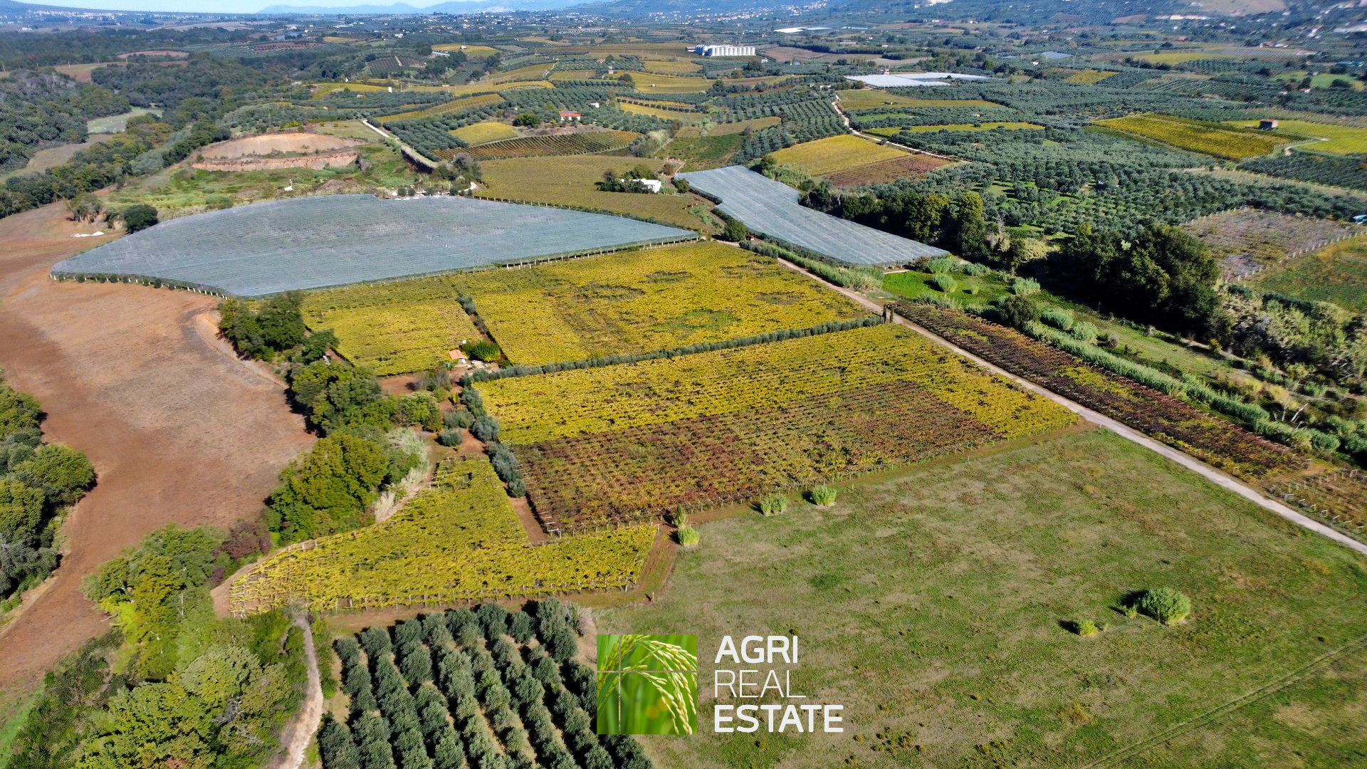 /api/file/public/265002/28322