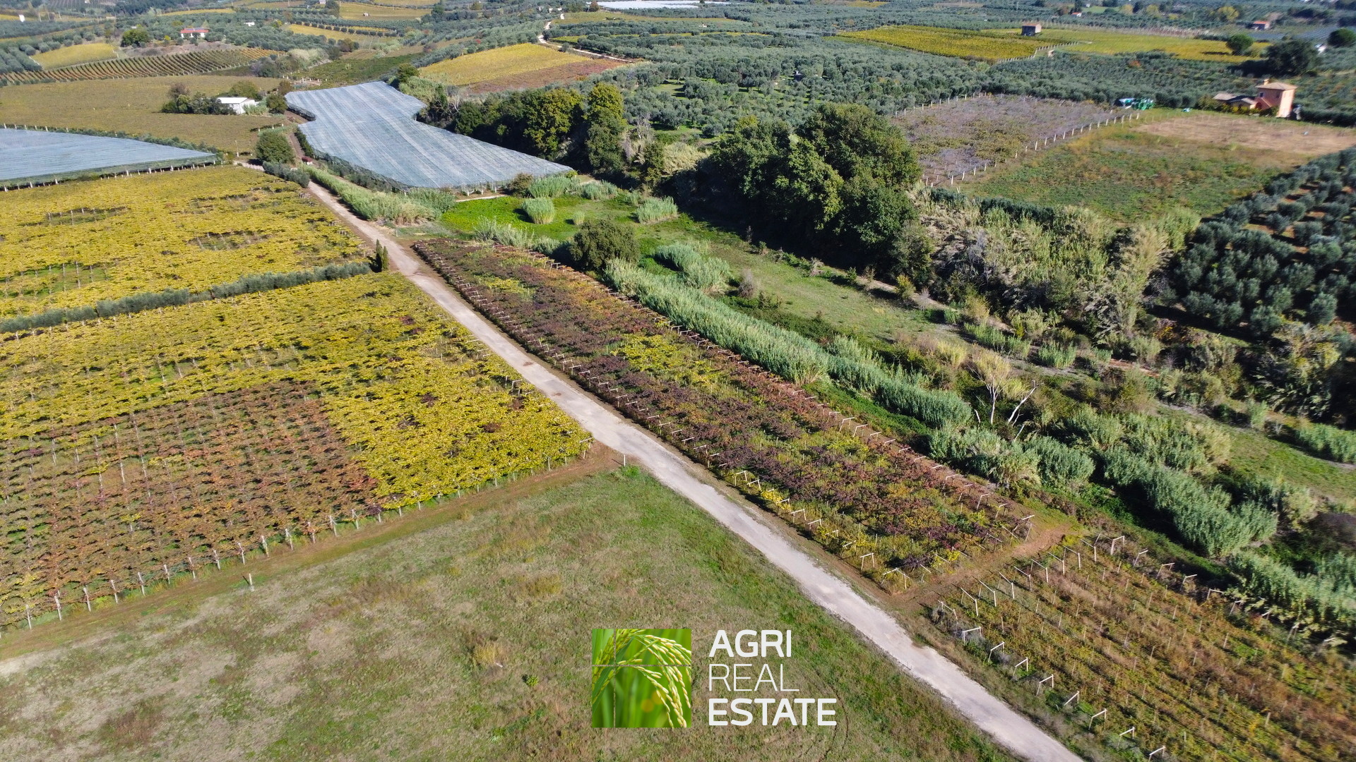 /api/file/public/265002/28323