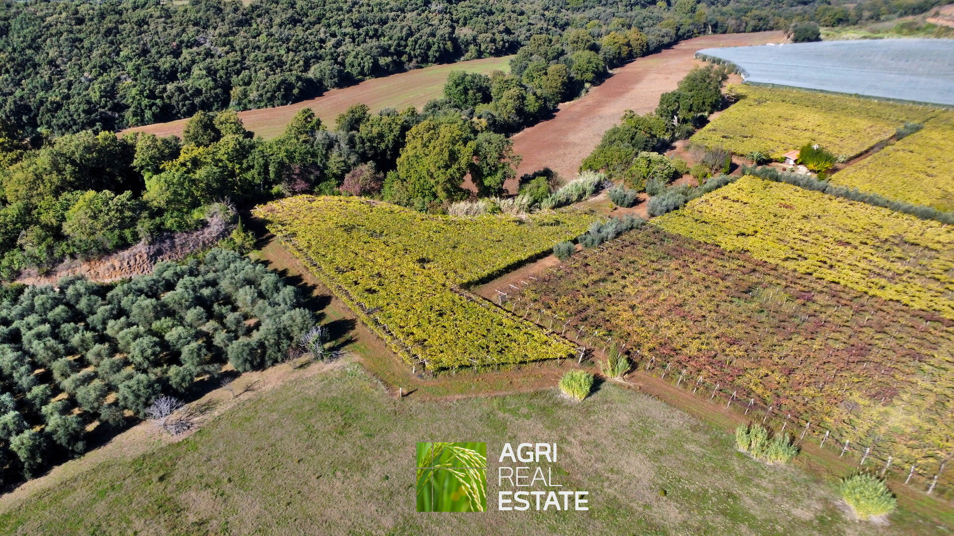 /api/file/public/265002/28324