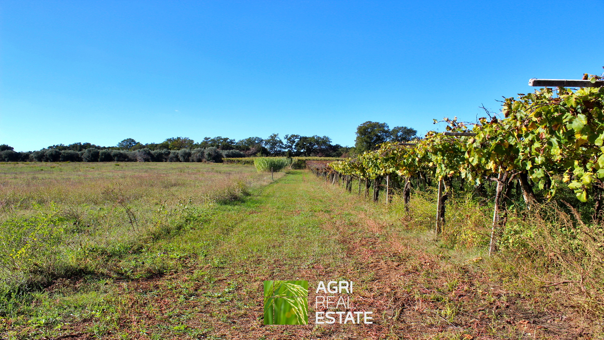 /api/file/public/265002/28325