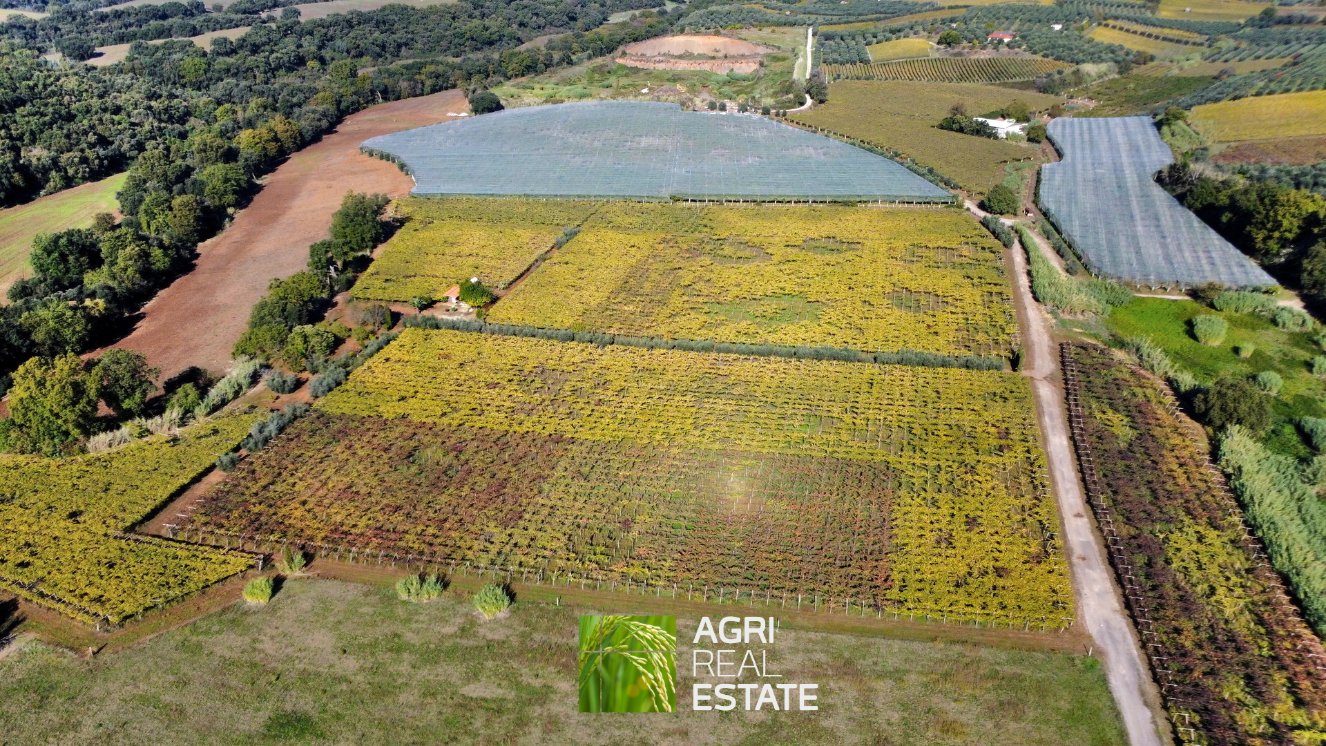 /api/file/public/265002/28326