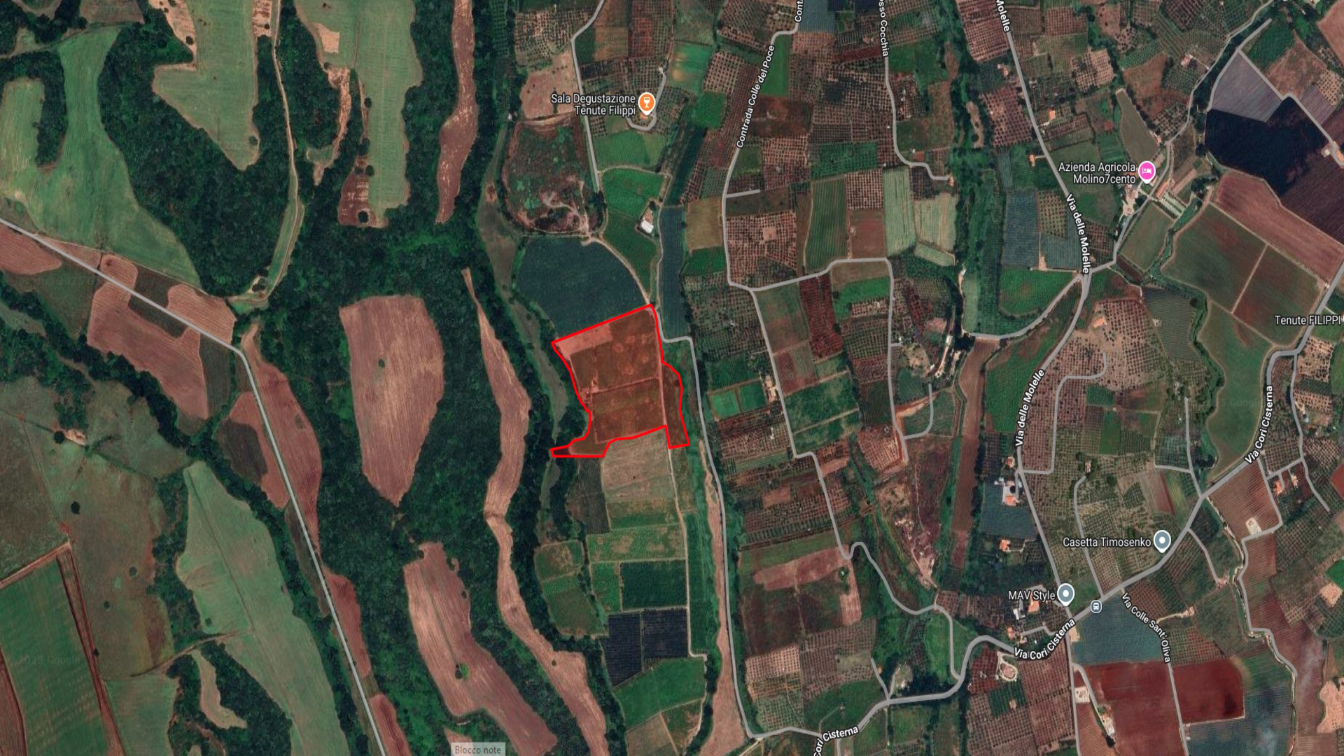 /api/file/public/265002/28329