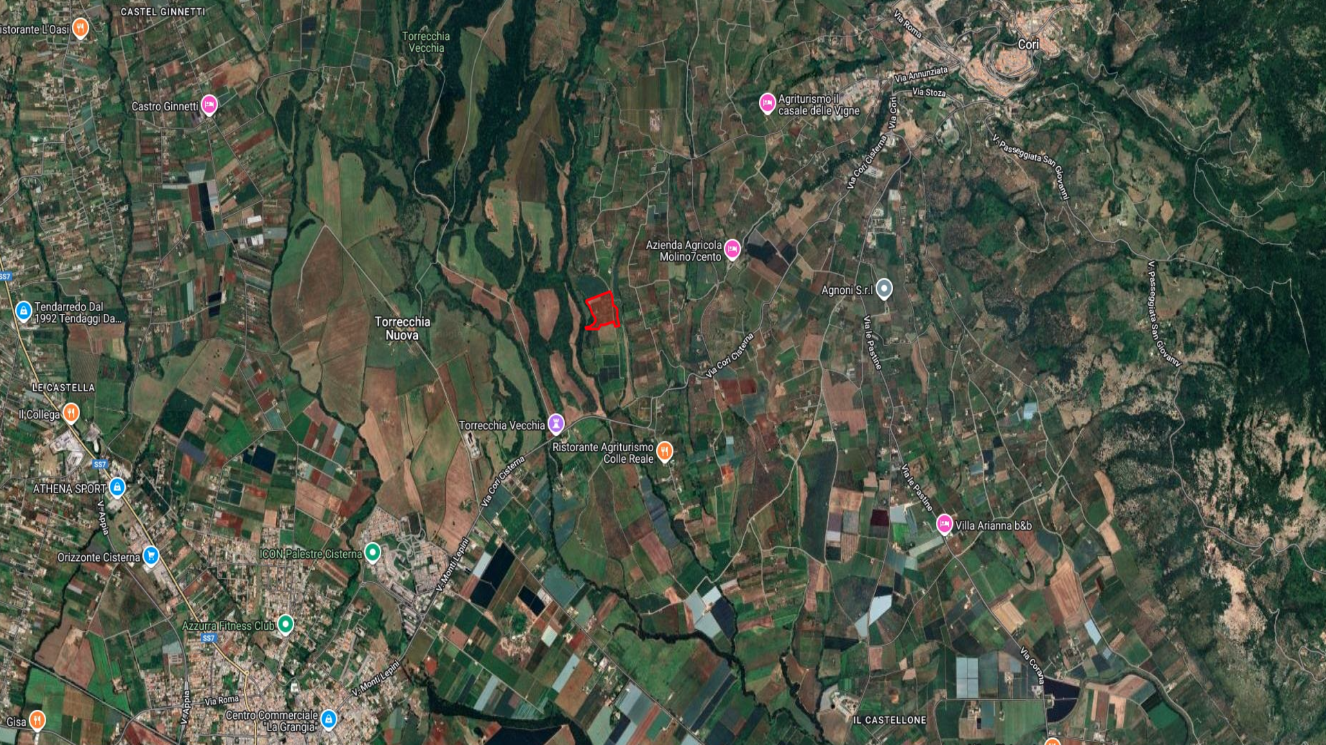 /api/file/public/265002/28330