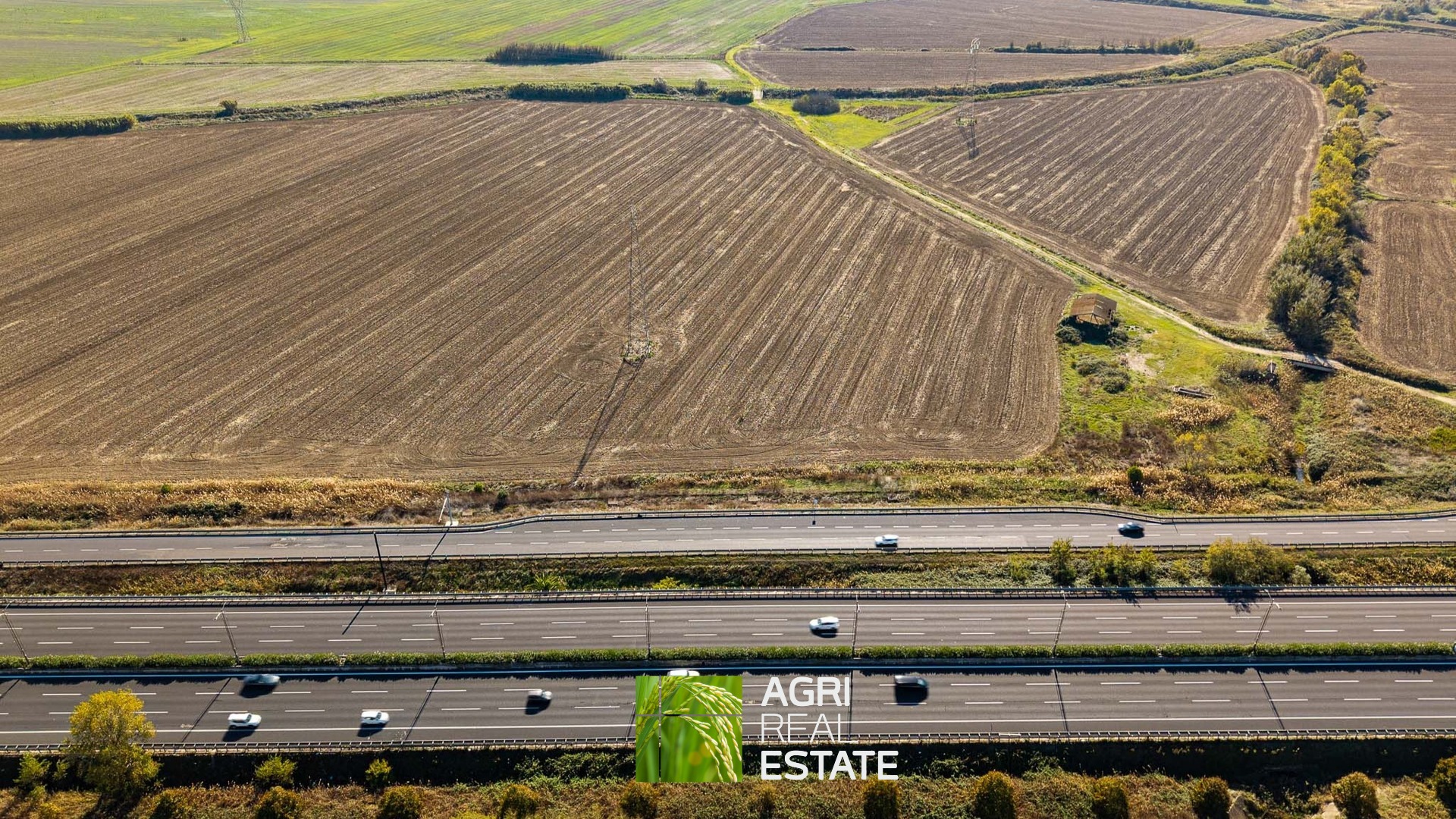 /api/file/public/265012/28381