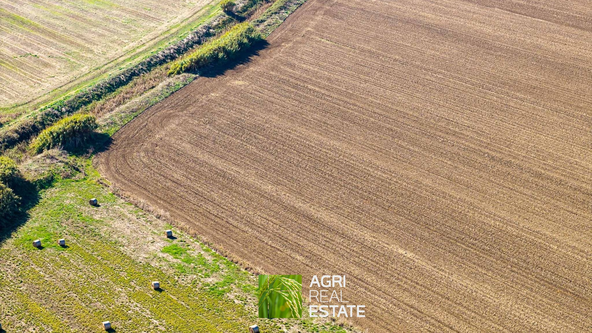 /api/file/public/265012/28384