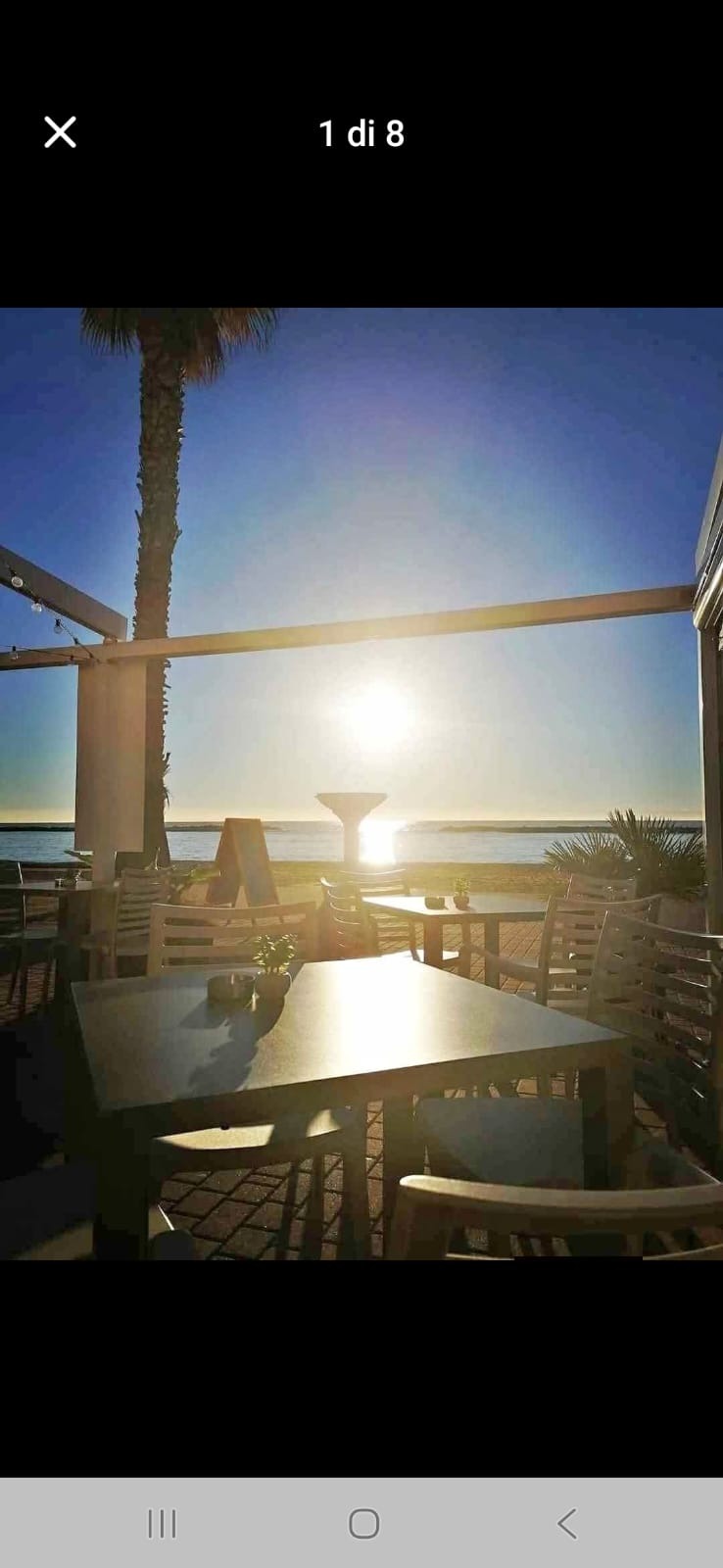 /api/file/public/265016/28390