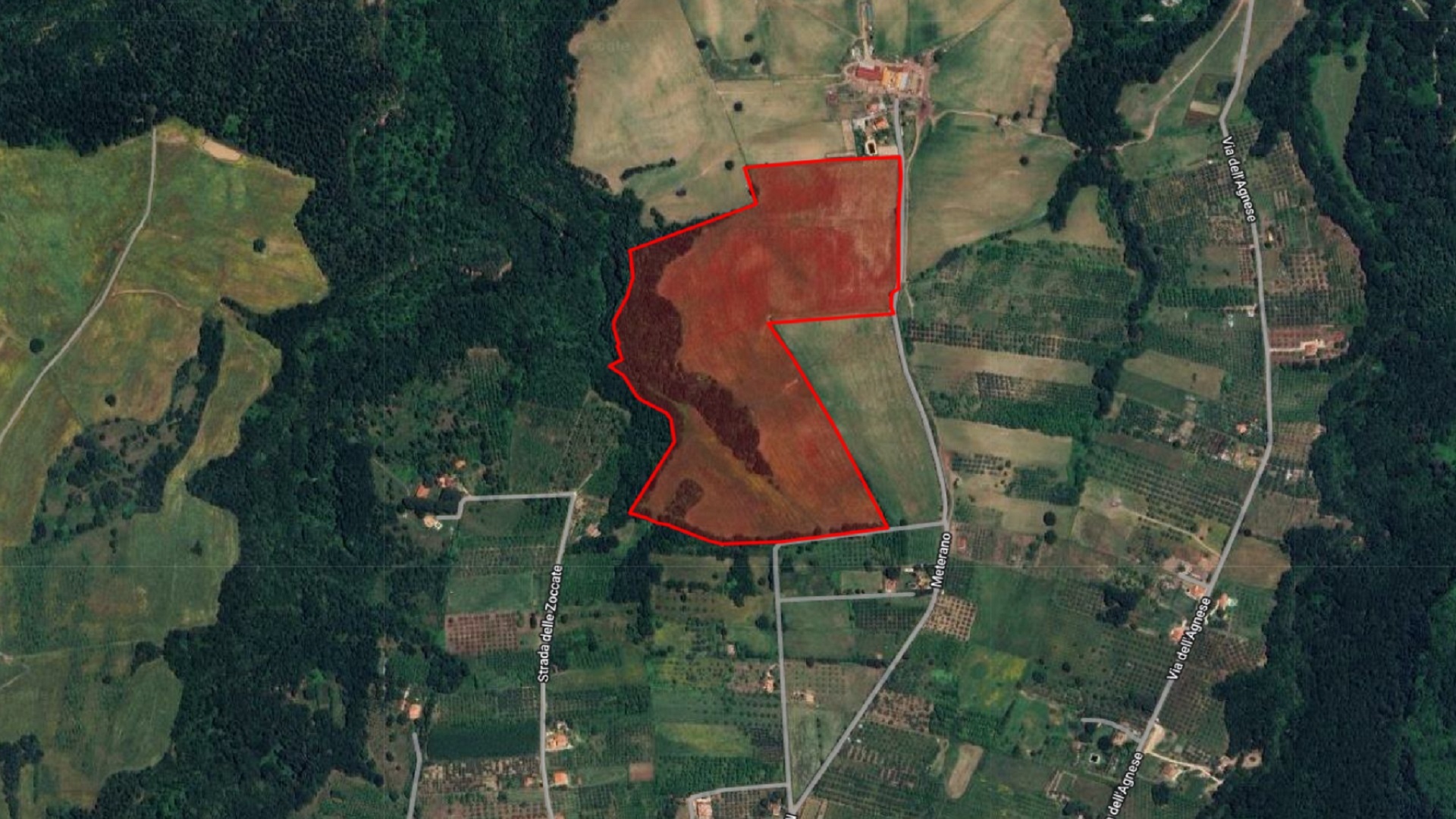 /api/file/public/265031/28426