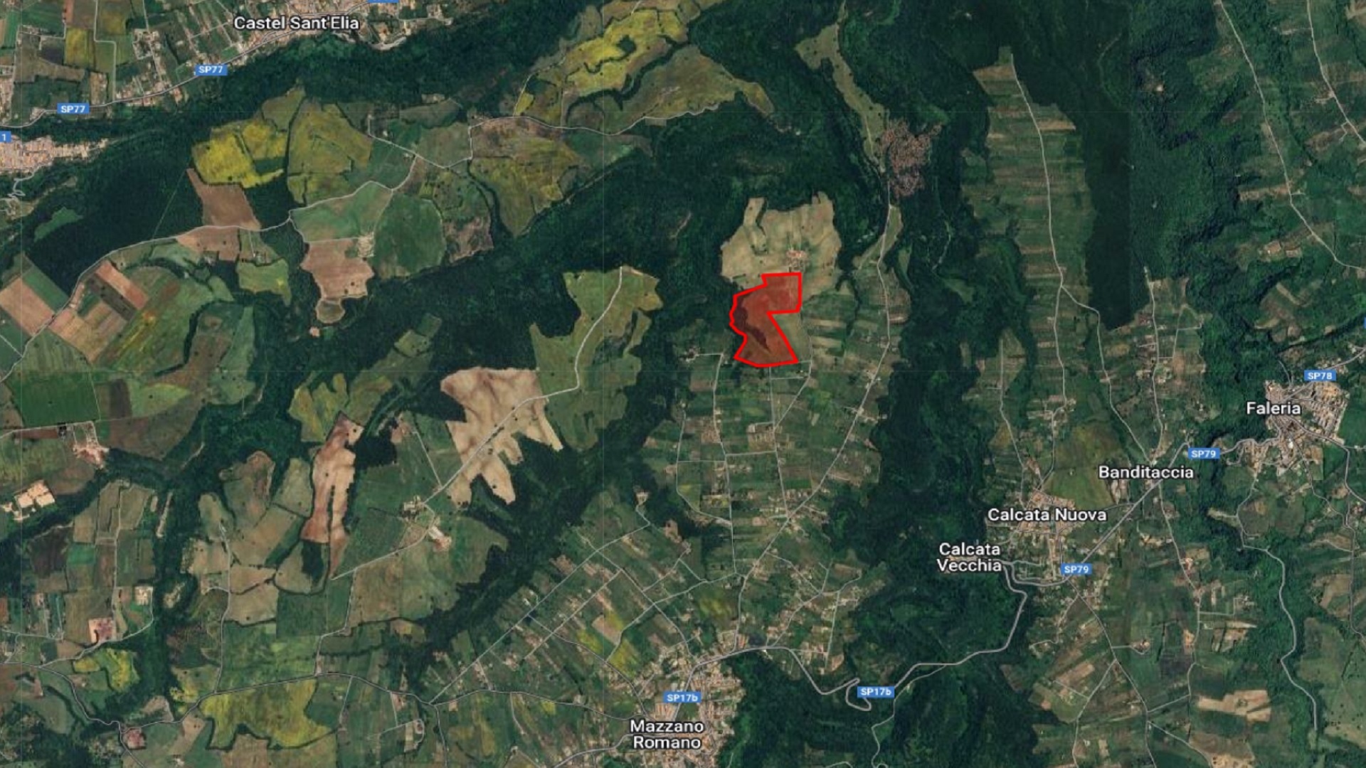 /api/file/public/265031/28427