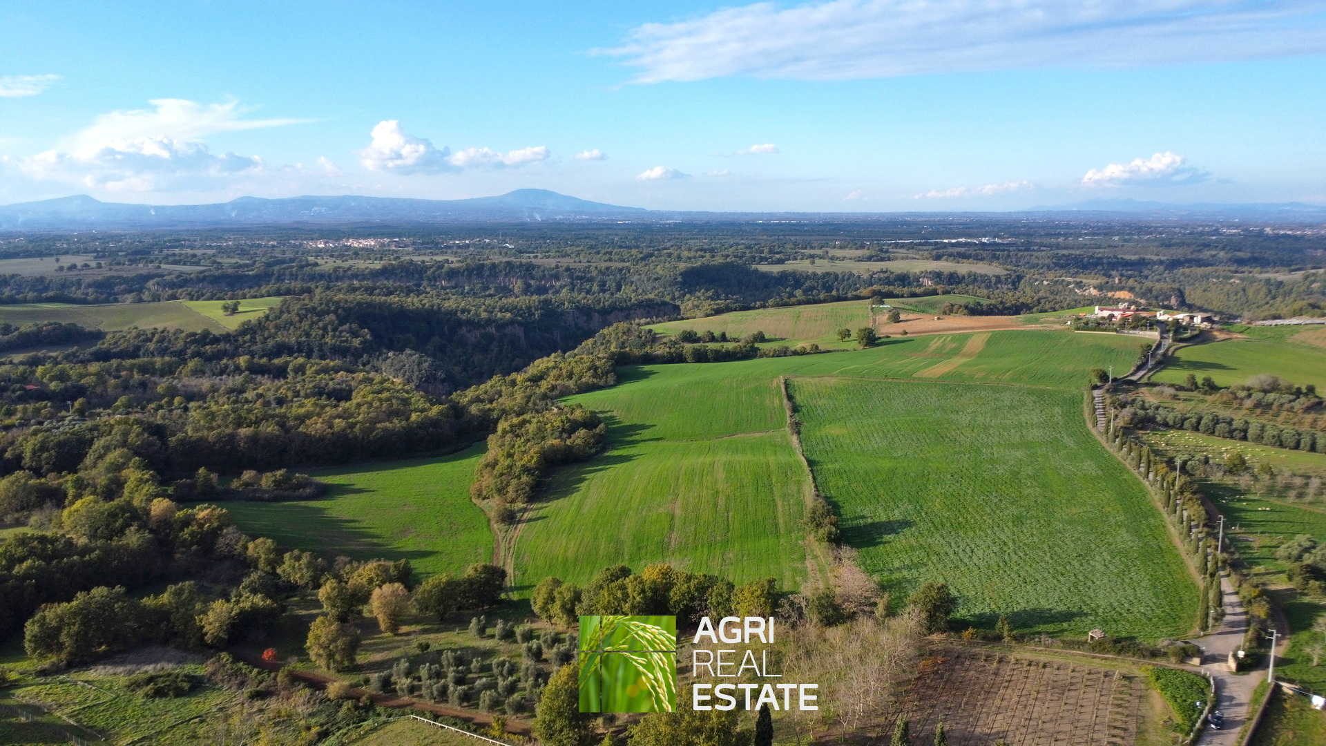 /api/file/public/265031/28429