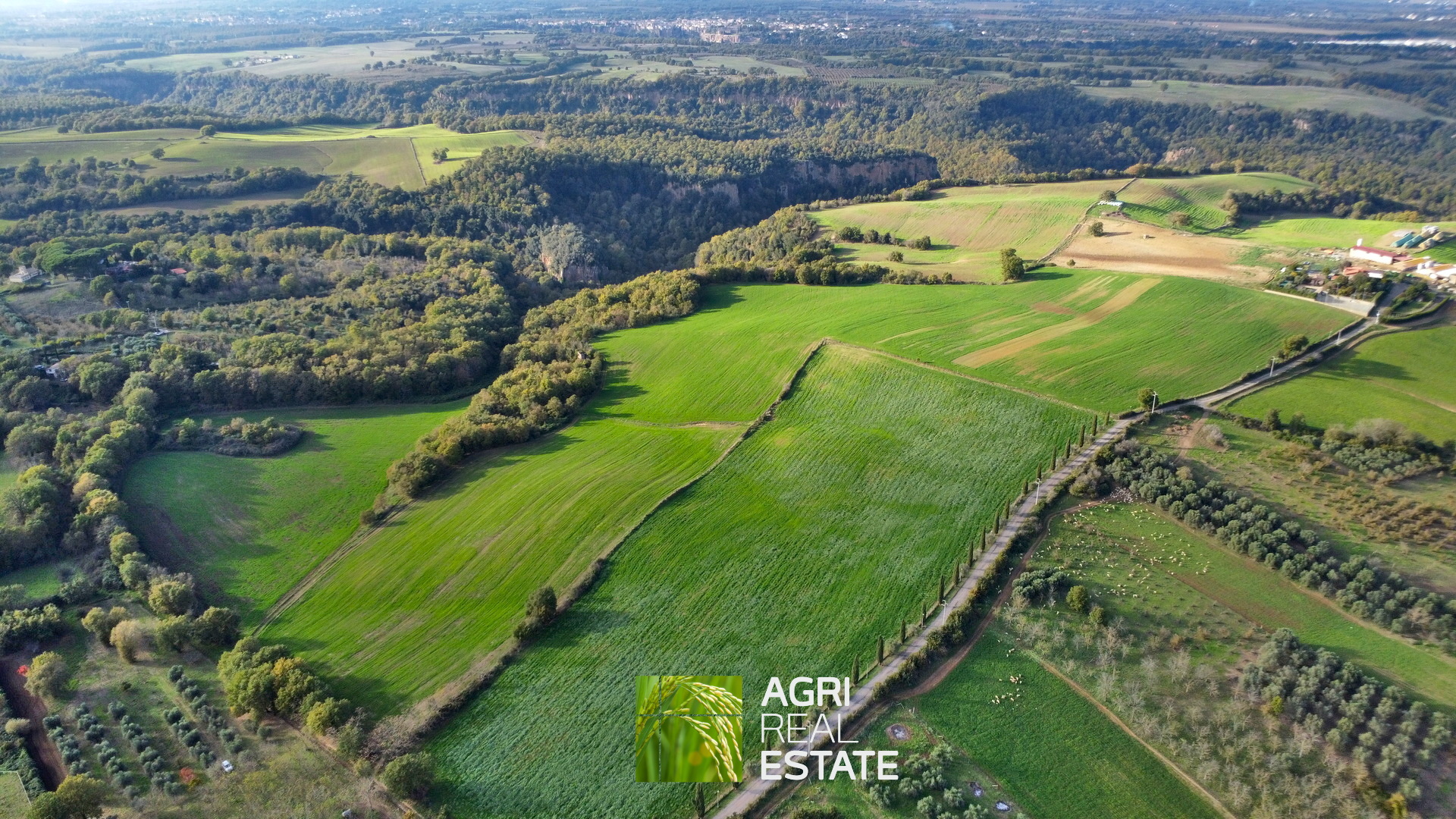 /api/file/public/265031/28430