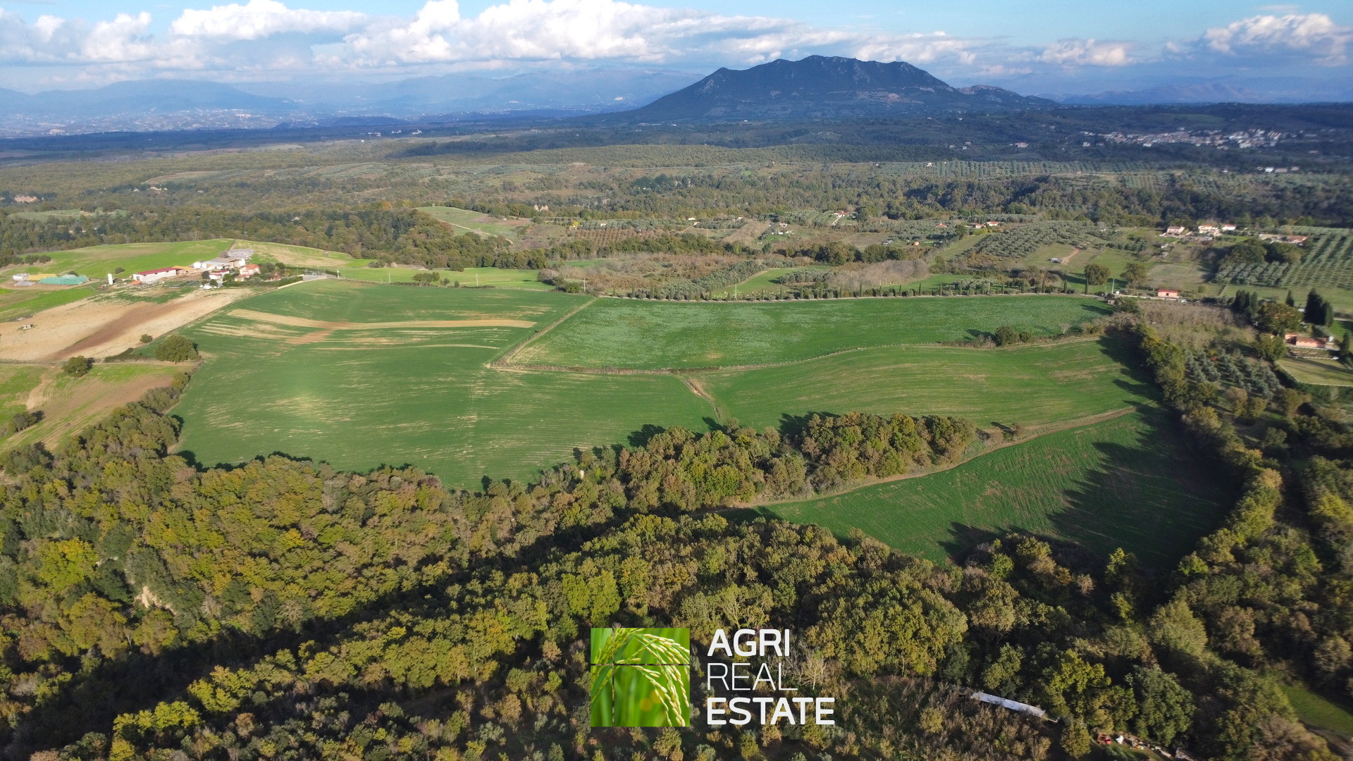 /api/file/public/265031/28431